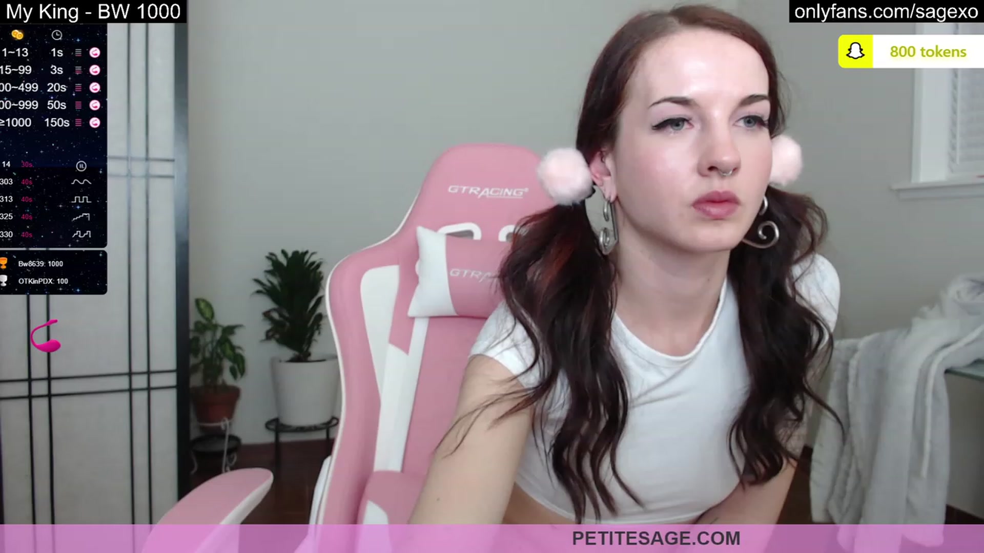 Gallery image thumbnail from PetiteSage's myfreecams stream on, 03/09/2023, 02:20 image 12 of 20