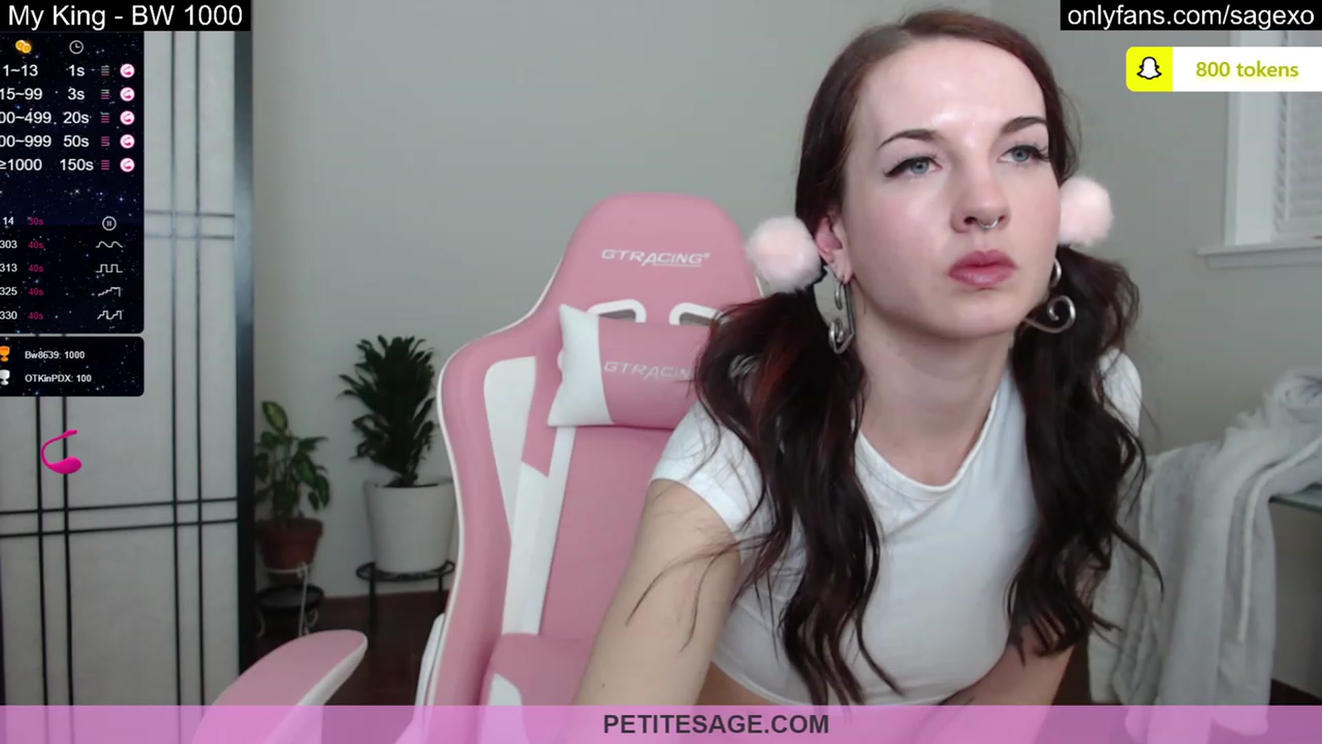 Gallery image thumbnail from PetiteSage's myfreecams stream on, 03/09/2023, 02:20 image 13 of 20