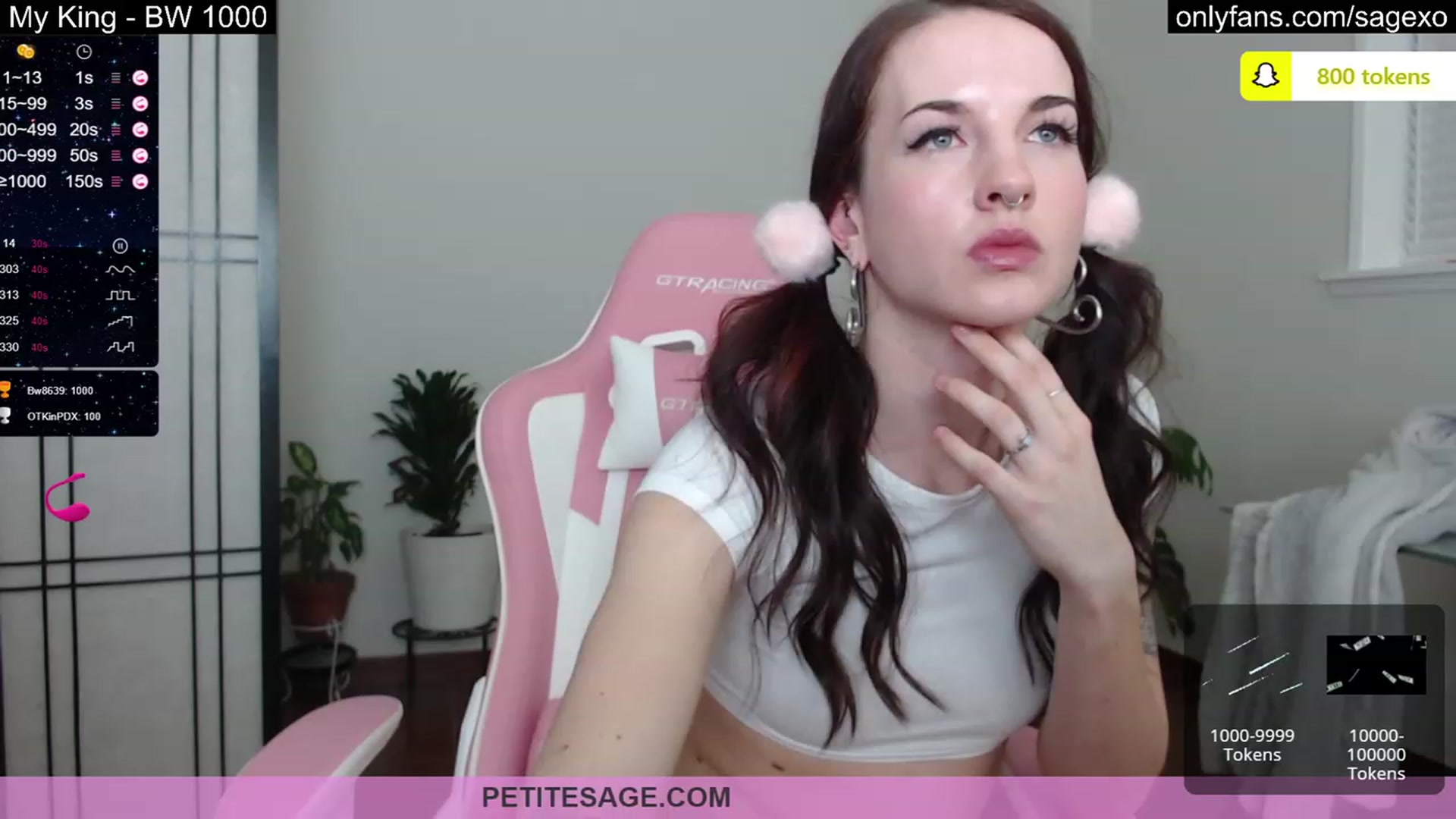 Gallery image thumbnail from PetiteSage's myfreecams stream on, 03/09/2023, 02:20 image 14 of 20