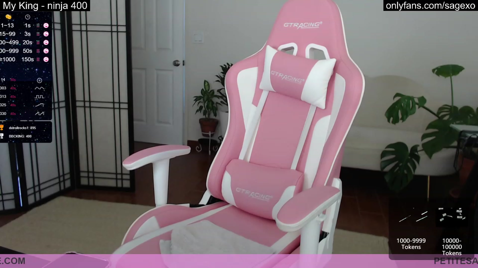 Gallery image thumbnail from PetiteSage's myfreecams stream on, 03/22/2023, 19:47 image 12 of 20