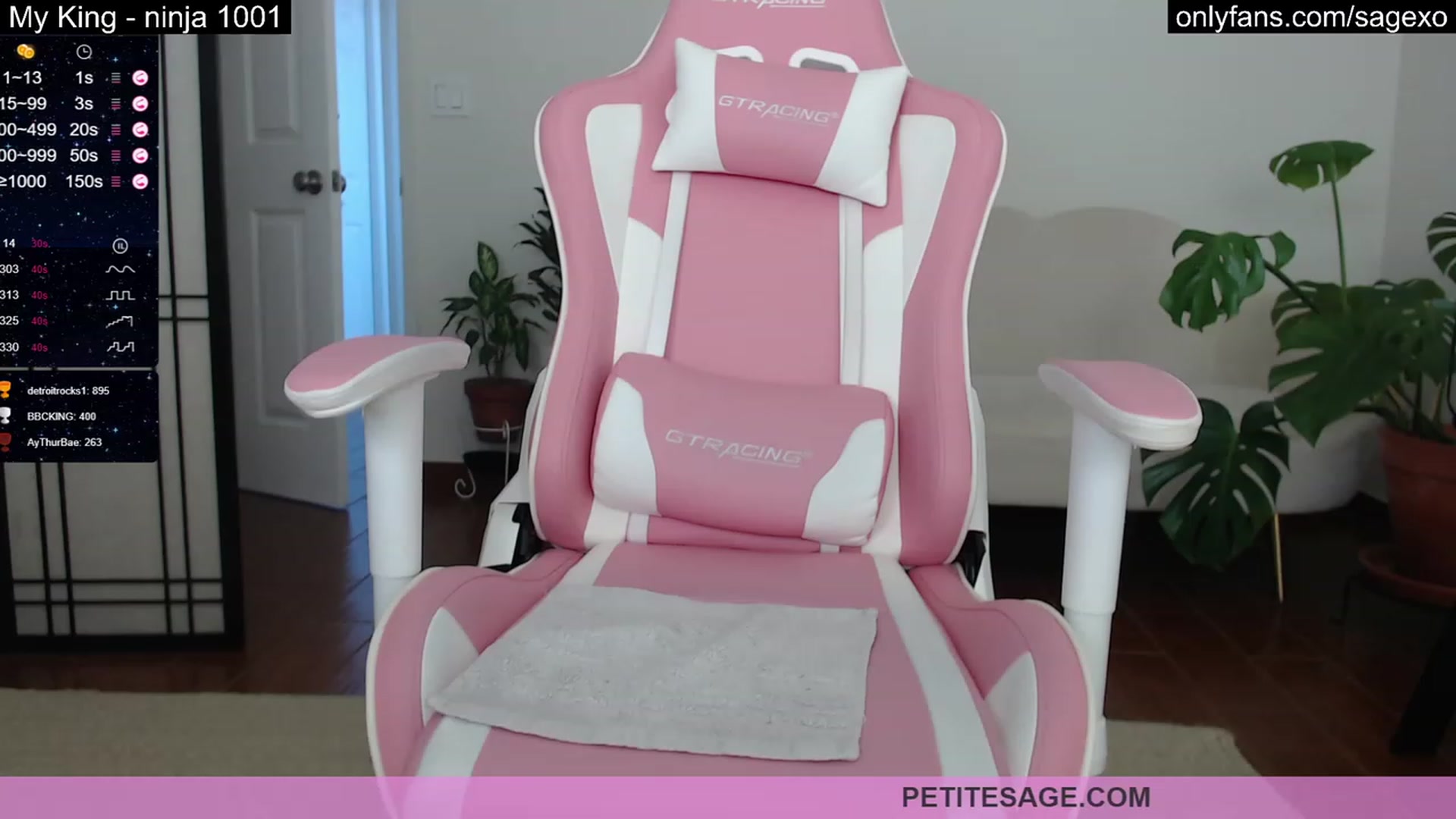 Gallery image thumbnail from PetiteSage's myfreecams stream on, 03/22/2023, 20:11 image 1 of 20