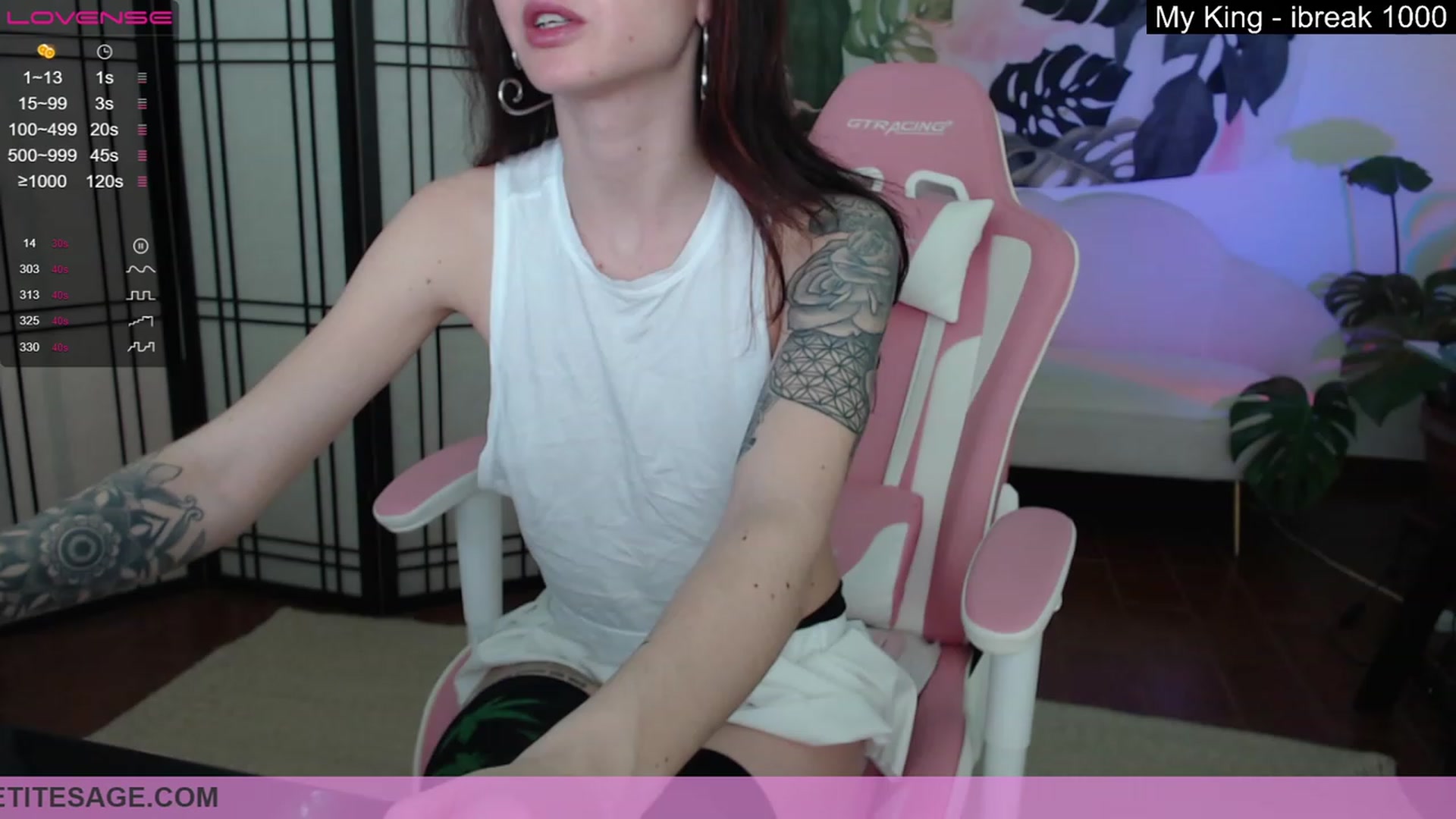 Gallery image thumbnail from PetiteSage's myfreecams stream on, 04/21/2023, 01:29 image 9 of 20