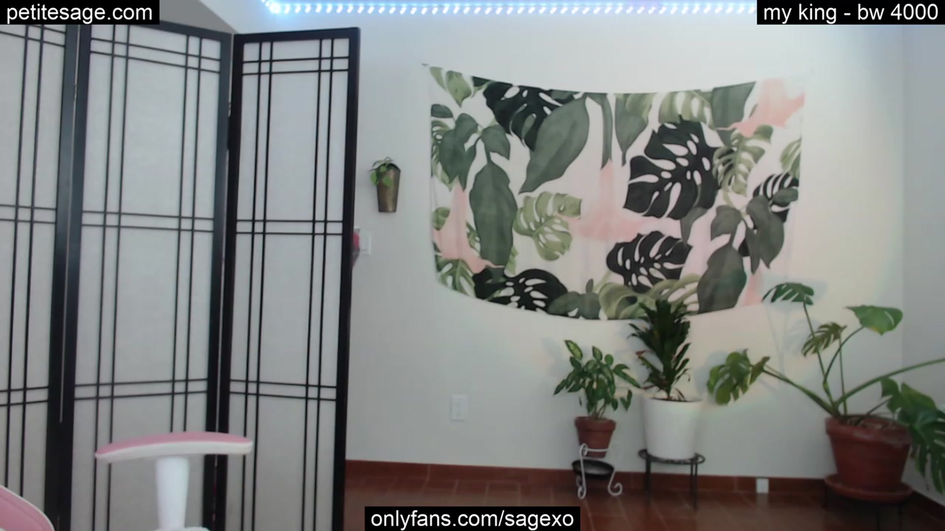 Gallery image thumbnail from PetiteSage's myfreecams stream on, 08/07/2023, 22:45 image 13 of 20