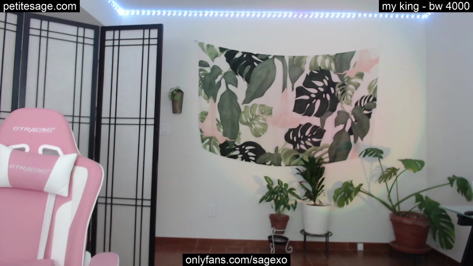 Gallery image thumbnail from PetiteSage's myfreecams stream on, 08/08/2023, 24:02 image 20 of 20