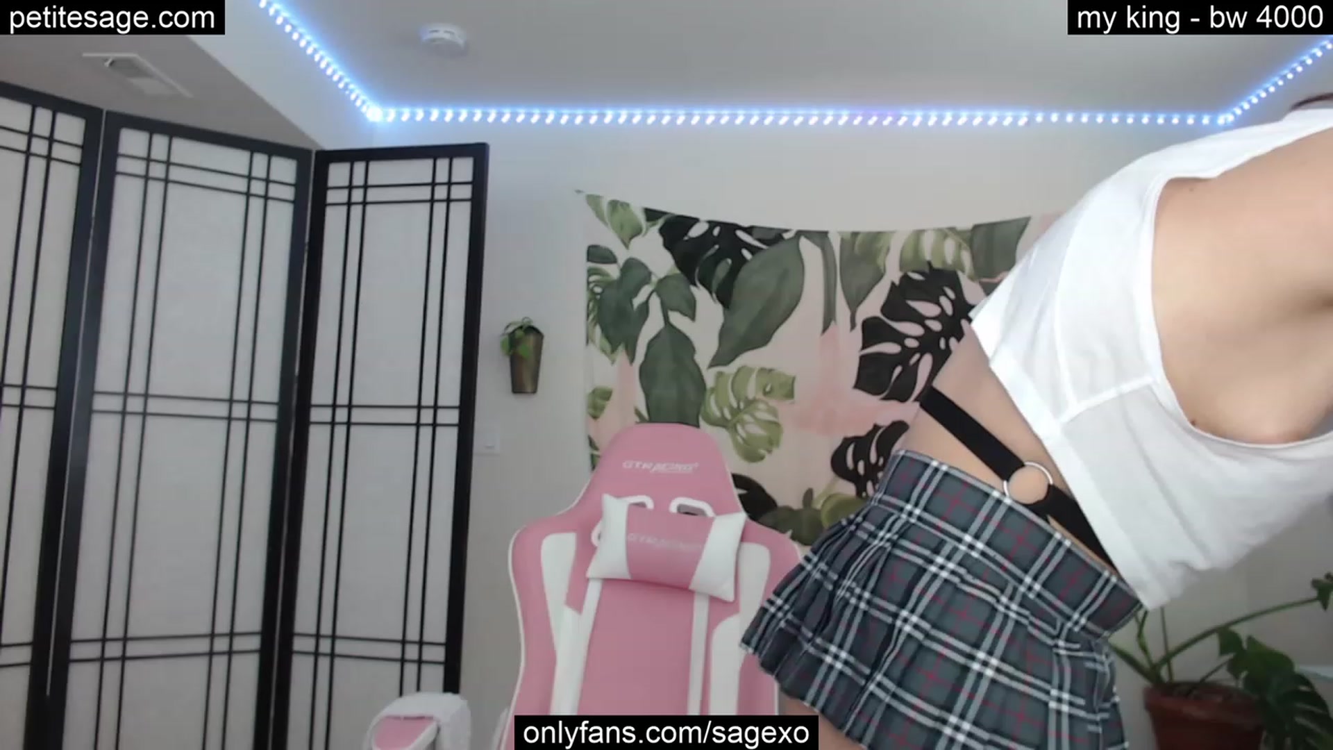 Gallery image thumbnail from PetiteSage's myfreecams stream on, 08/08/2023, 24:02 image 10 of 20