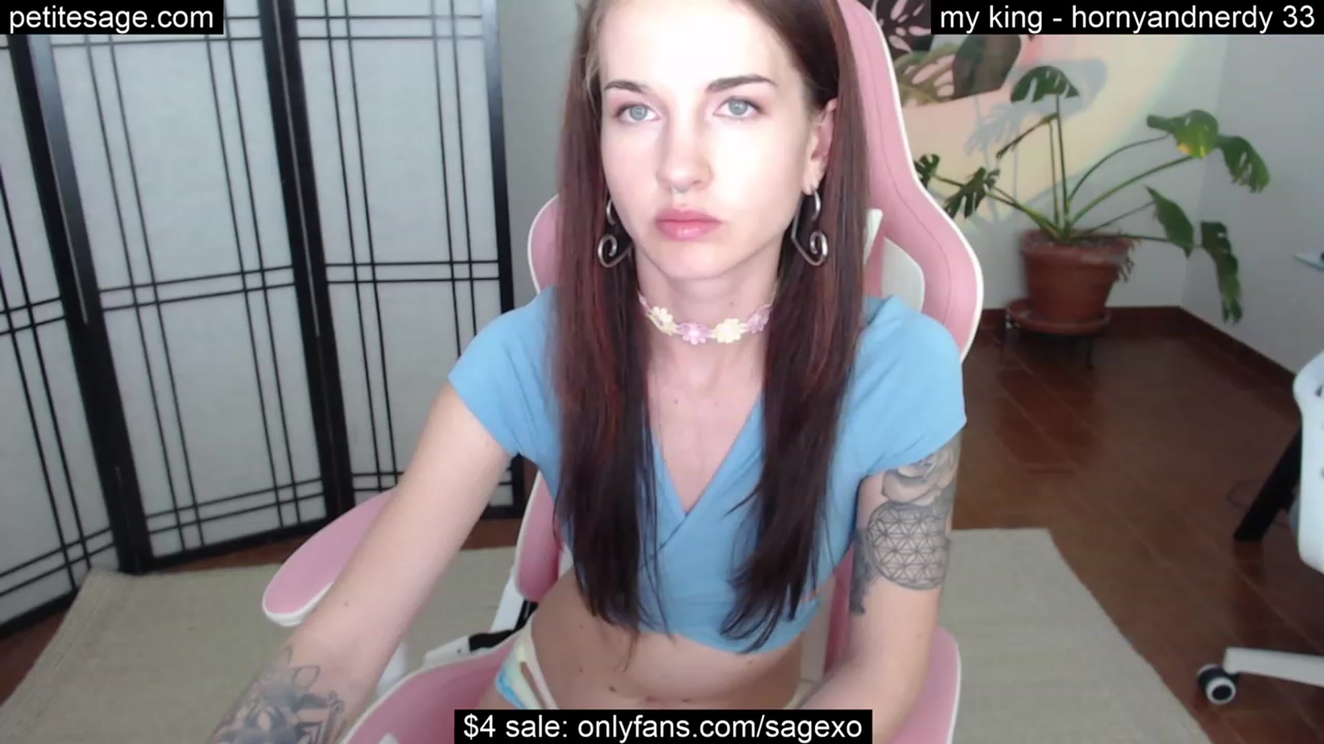Gallery image thumbnail from PetiteSage's myfreecams stream on, 08/15/2023, 03:04 image 16 of 20