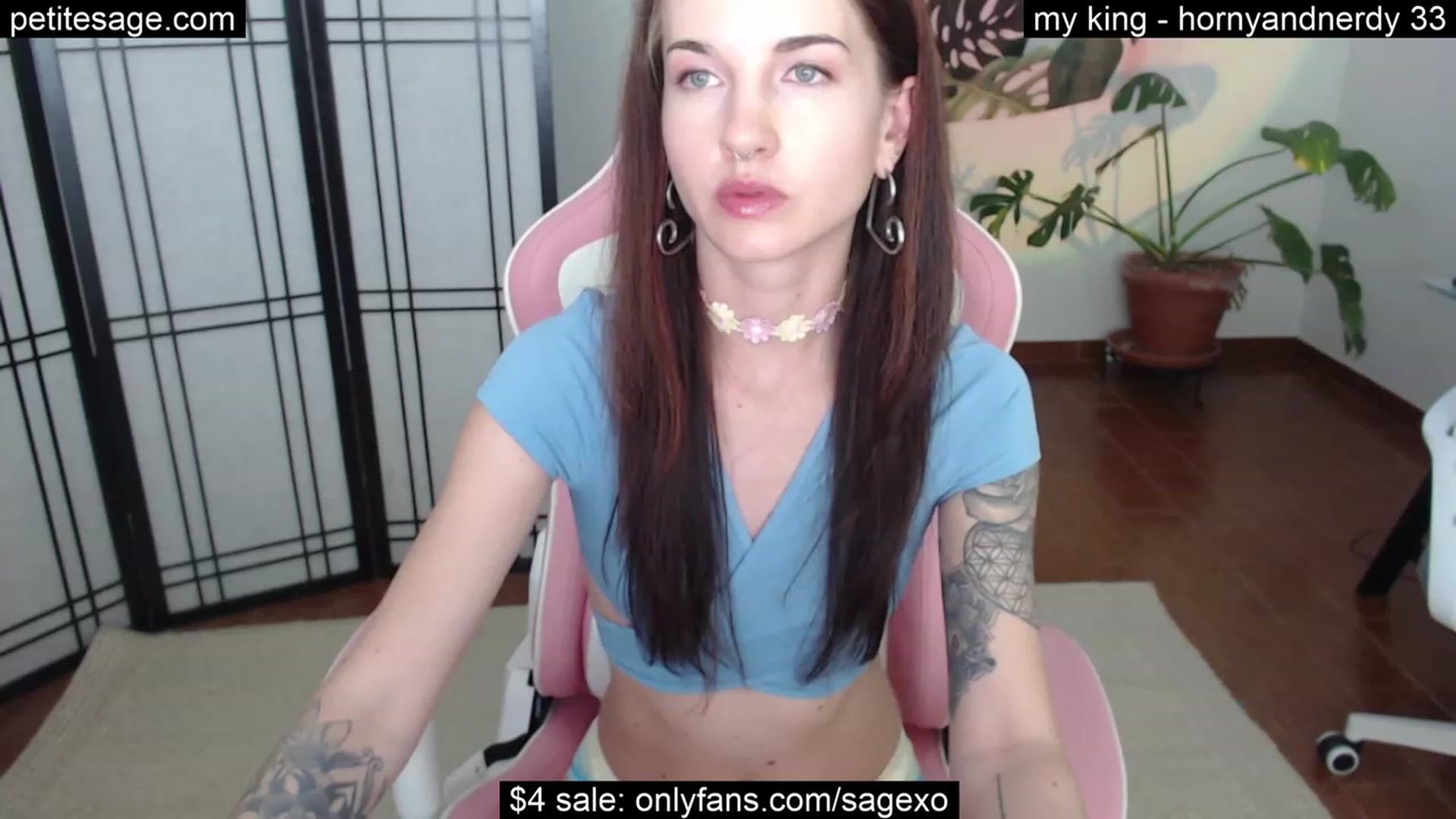 Gallery image thumbnail from PetiteSage's myfreecams stream on, 08/15/2023, 03:04 image 11 of 20