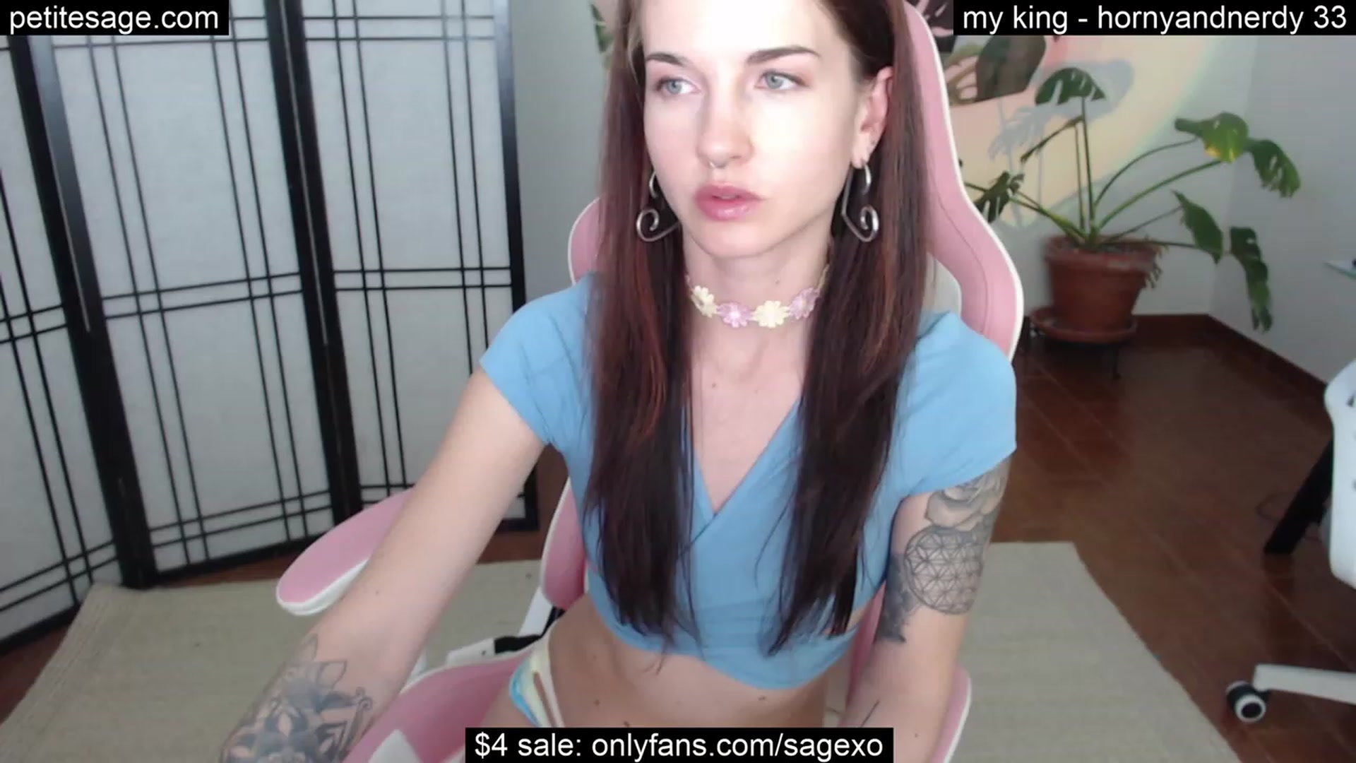 Gallery image thumbnail from PetiteSage's myfreecams stream on, 08/15/2023, 03:04 image 10 of 20