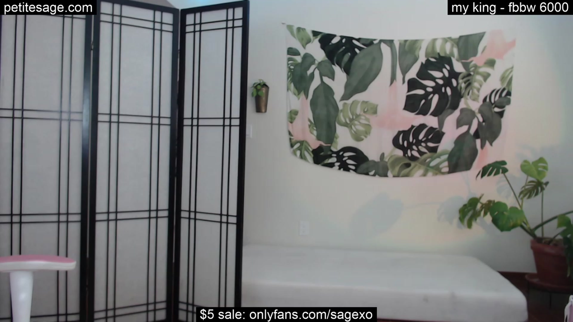 Gallery image thumbnail from PetiteSage's myfreecams stream on, 09/19/2023, 24:38 image 10 of 20