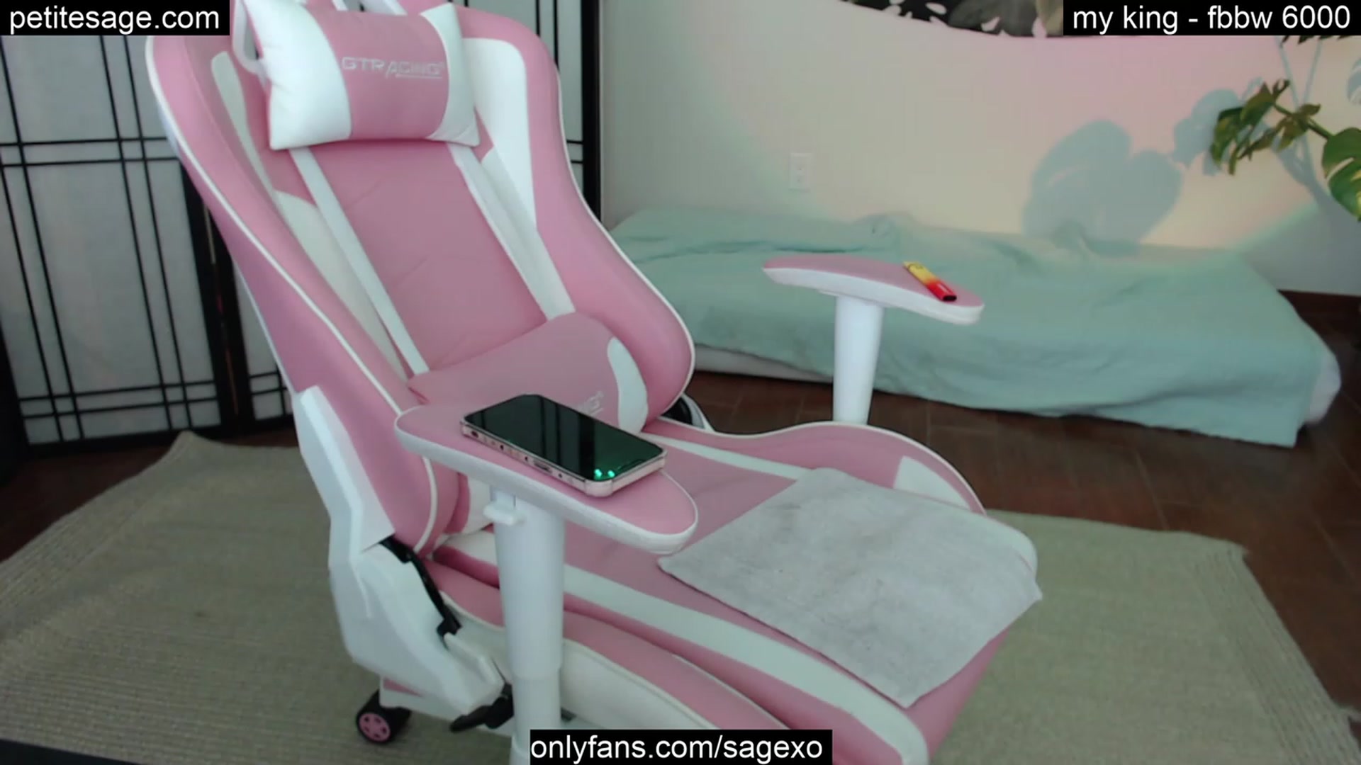 Gallery image thumbnail from PetiteSage's myfreecams stream on, 10/10/2023, 24:49 image 2 of 20