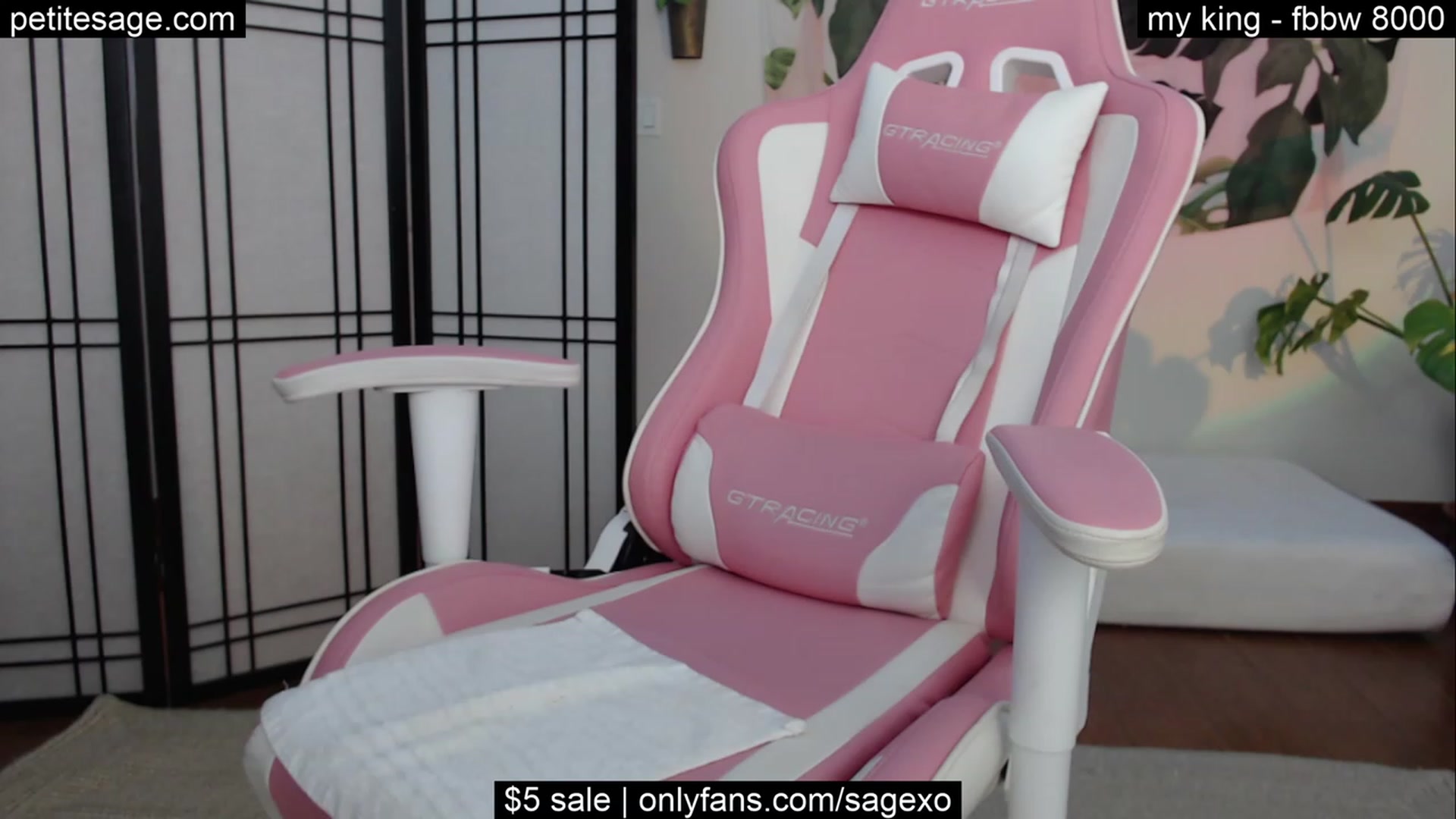 Gallery image thumbnail from PetiteSage's myfreecams stream on, 10/19/2023, 22:37 image 8 of 20