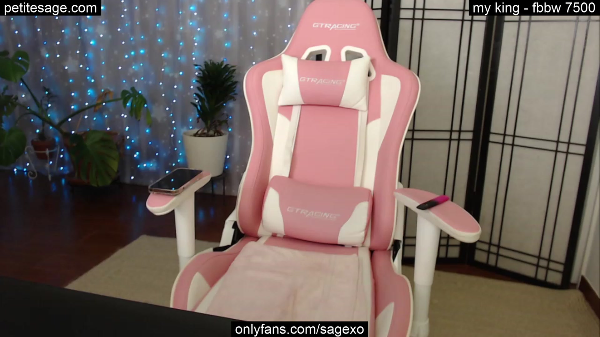 Gallery image thumbnail from PetiteSage's myfreecams stream on, 11/07/2023, 01:21 image 14 of 20