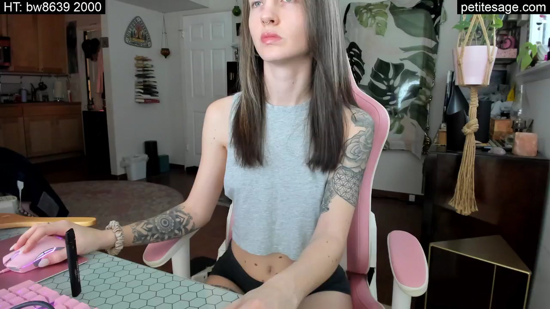 Gallery image thumbnail from PetiteSage's myfreecams stream on, 02/16/2025, 19:58 image 19 of 20