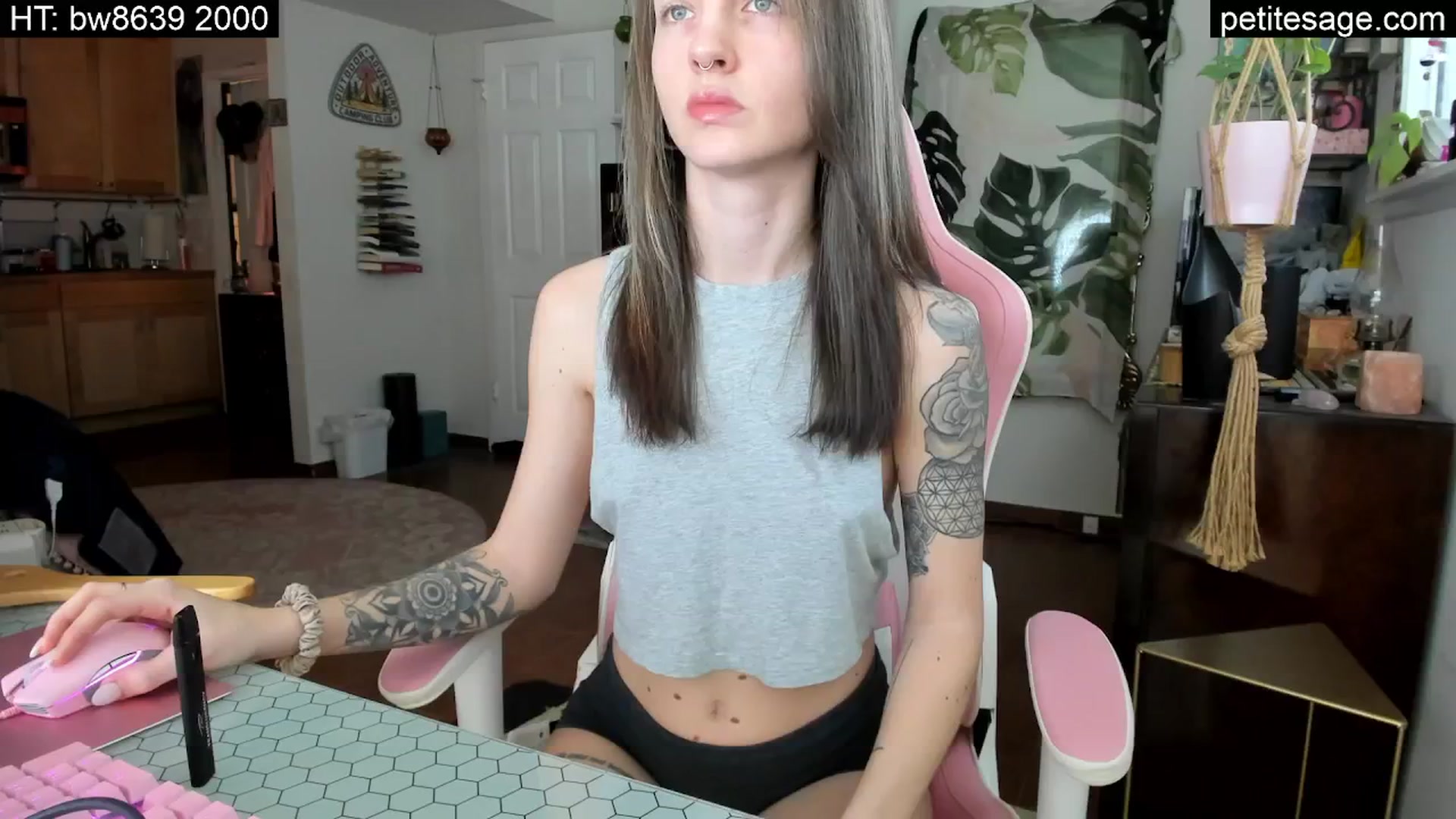 Gallery image thumbnail from PetiteSage's myfreecams stream on, 02/16/2025, 19:58 image 18 of 20
