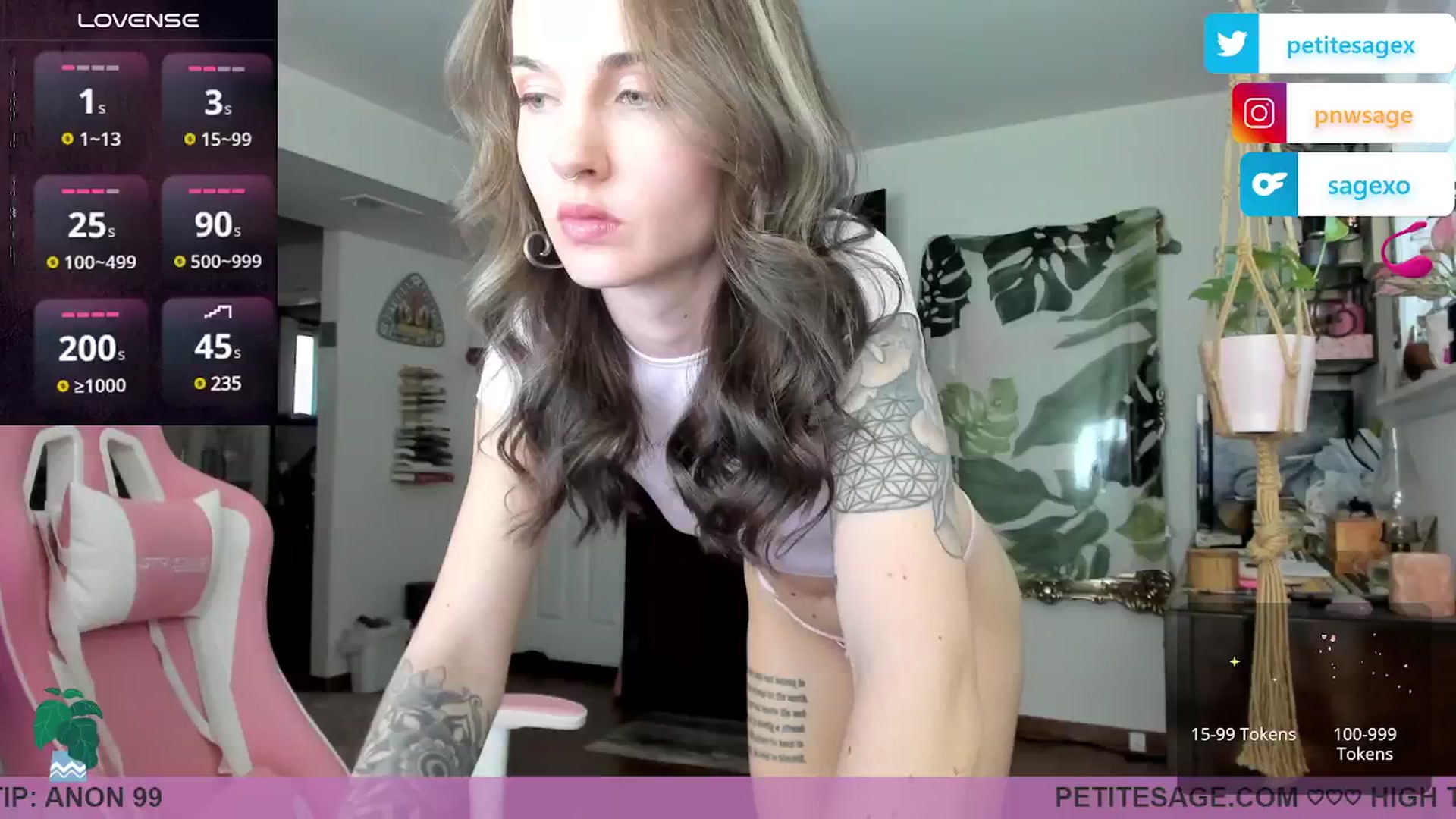 Gallery image thumbnail from PetiteSage's myfreecams stream on, 02/18/2025, 24:40 image 18 of 20