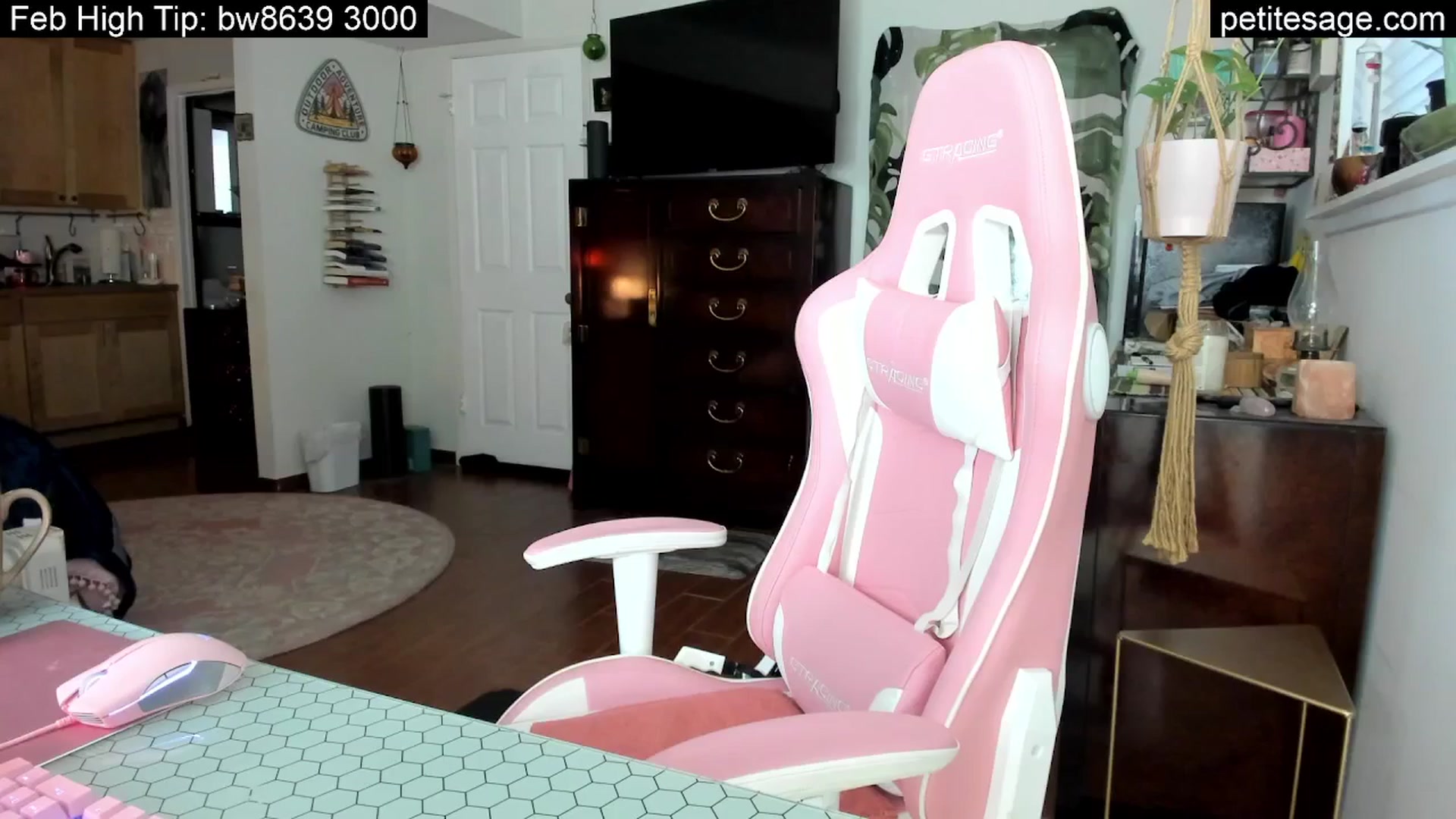 Gallery image thumbnail from PetiteSage's myfreecams stream on, 02/24/2025, 01:53 image 11 of 20