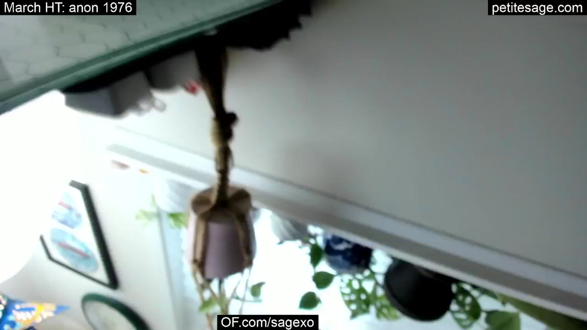 Gallery image thumbnail from PetiteSage's myfreecams stream on, 03/15/2025, 01:25 image 2 of 20