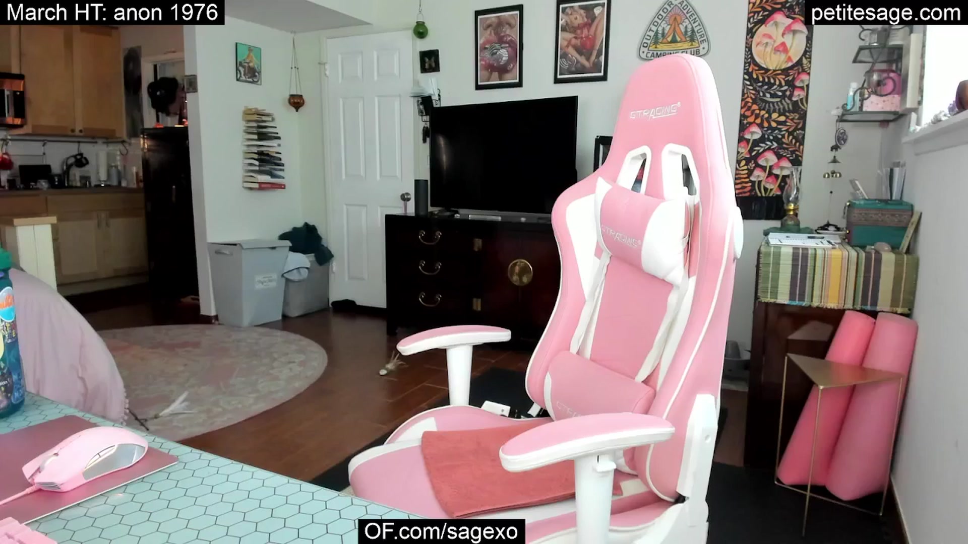 Gallery image thumbnail from PetiteSage's myfreecams stream on, 03/17/2025, 20:27 image 17 of 20