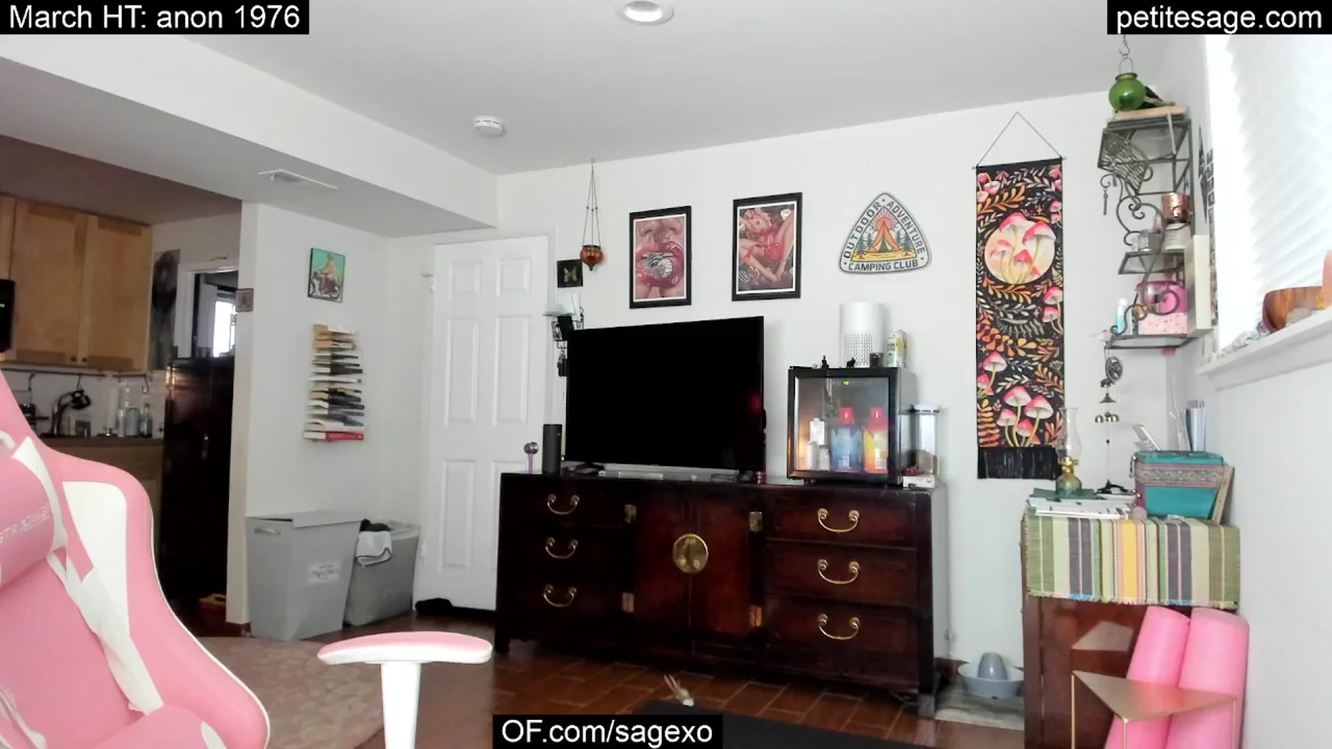 Gallery image thumbnail from PetiteSage's myfreecams stream on, 03/19/2025, 01:55 image 1 of 20