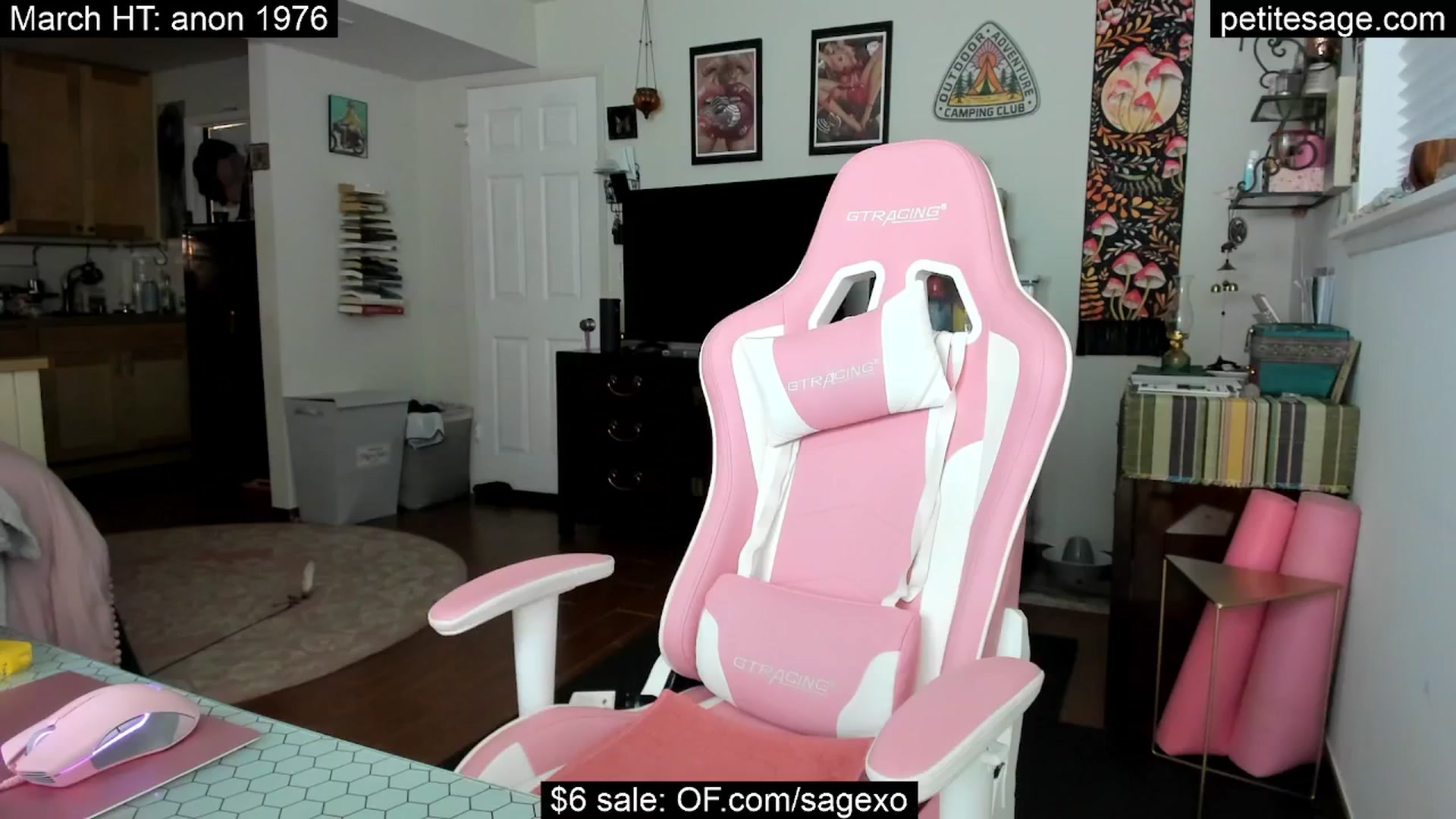Gallery image thumbnail from PetiteSage's myfreecams stream on, 03/19/2025, 01:55 image 18 of 20