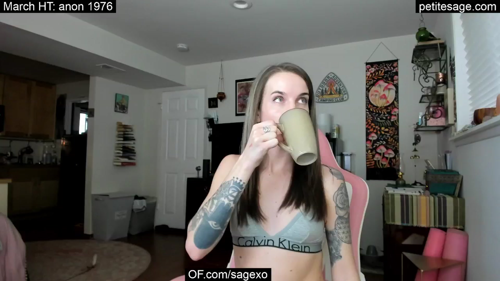 Gallery image thumbnail from PetiteSage's myfreecams stream on, 03/19/2025, 01:55 image 4 of 20