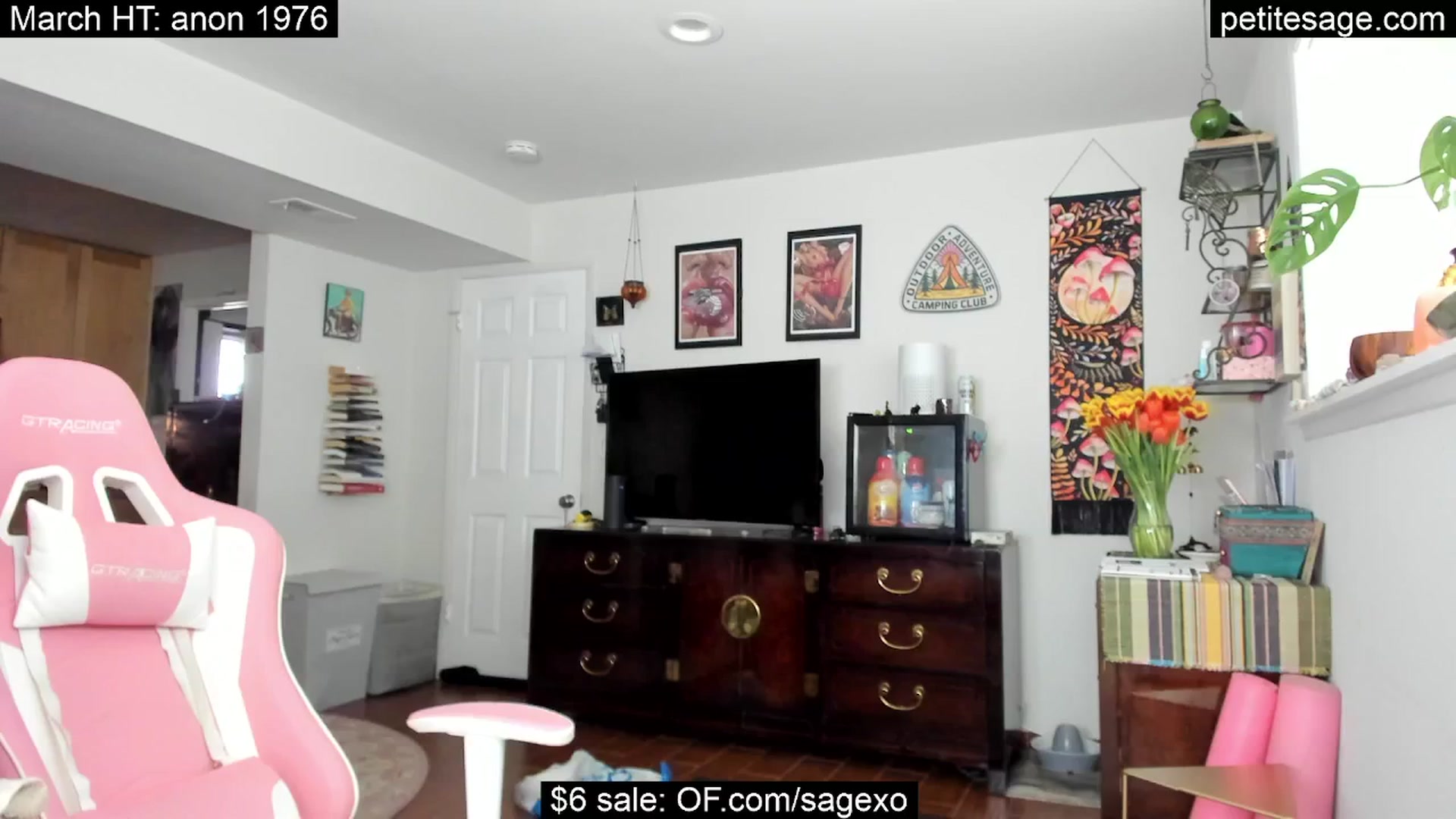Gallery image thumbnail from PetiteSage's myfreecams stream on, 03/22/2025, 23:44 image 11 of 20