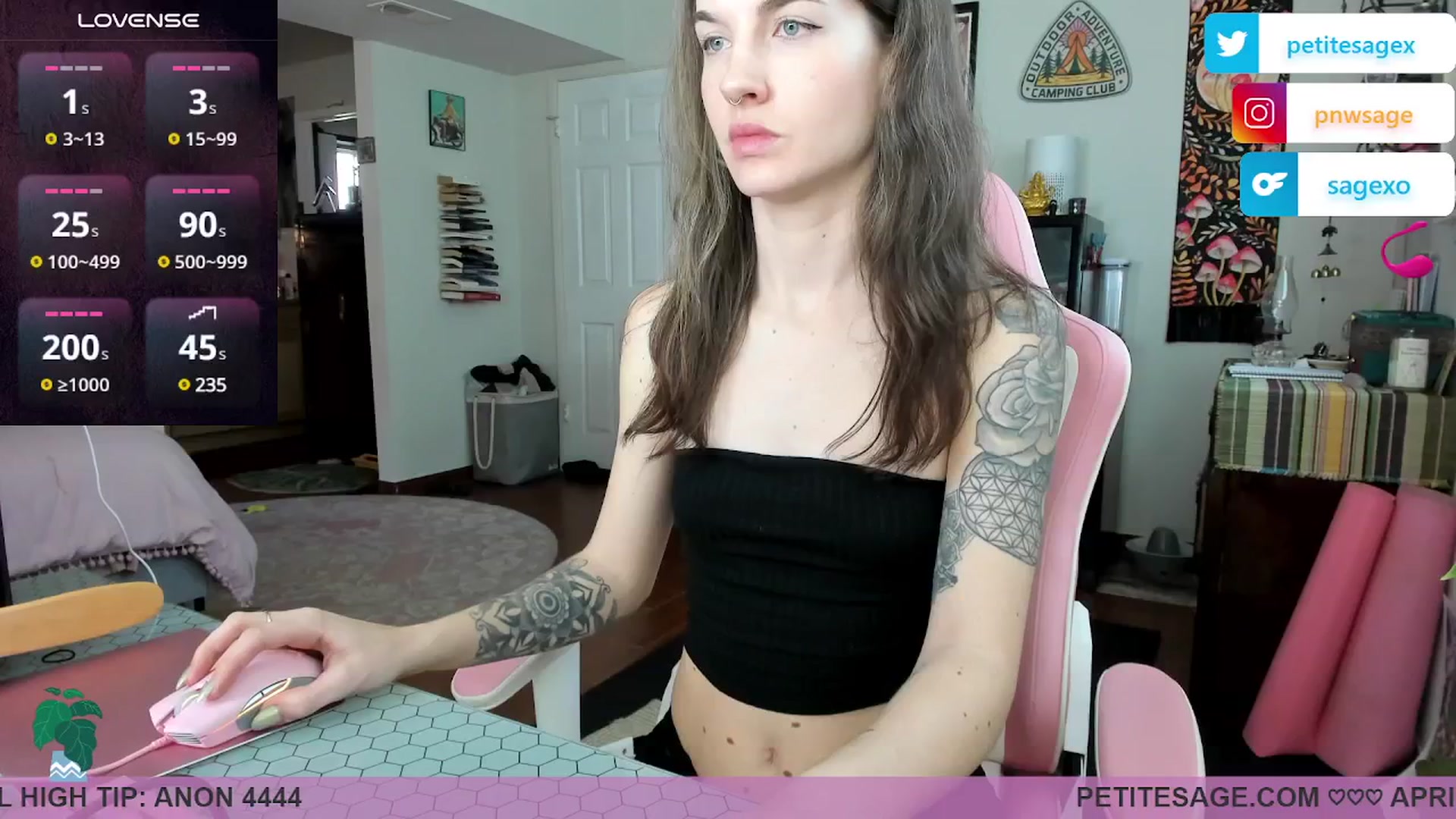 Gallery image thumbnail from PetiteSage's myfreecams stream on, 04/07/2025, 19:15 image 12 of 20