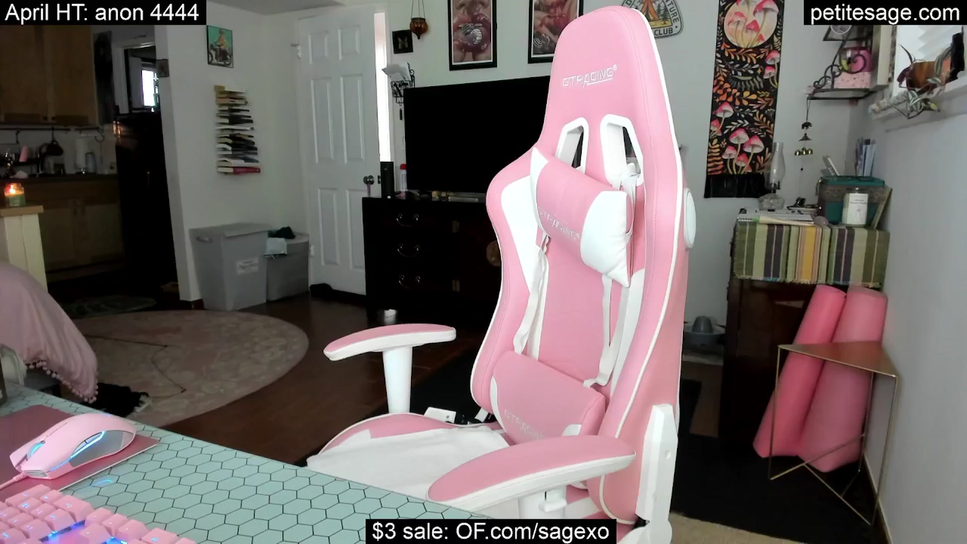 Gallery image thumbnail from PetiteSage's myfreecams stream on, 04/16/2025, 01:42 image 20 of 20