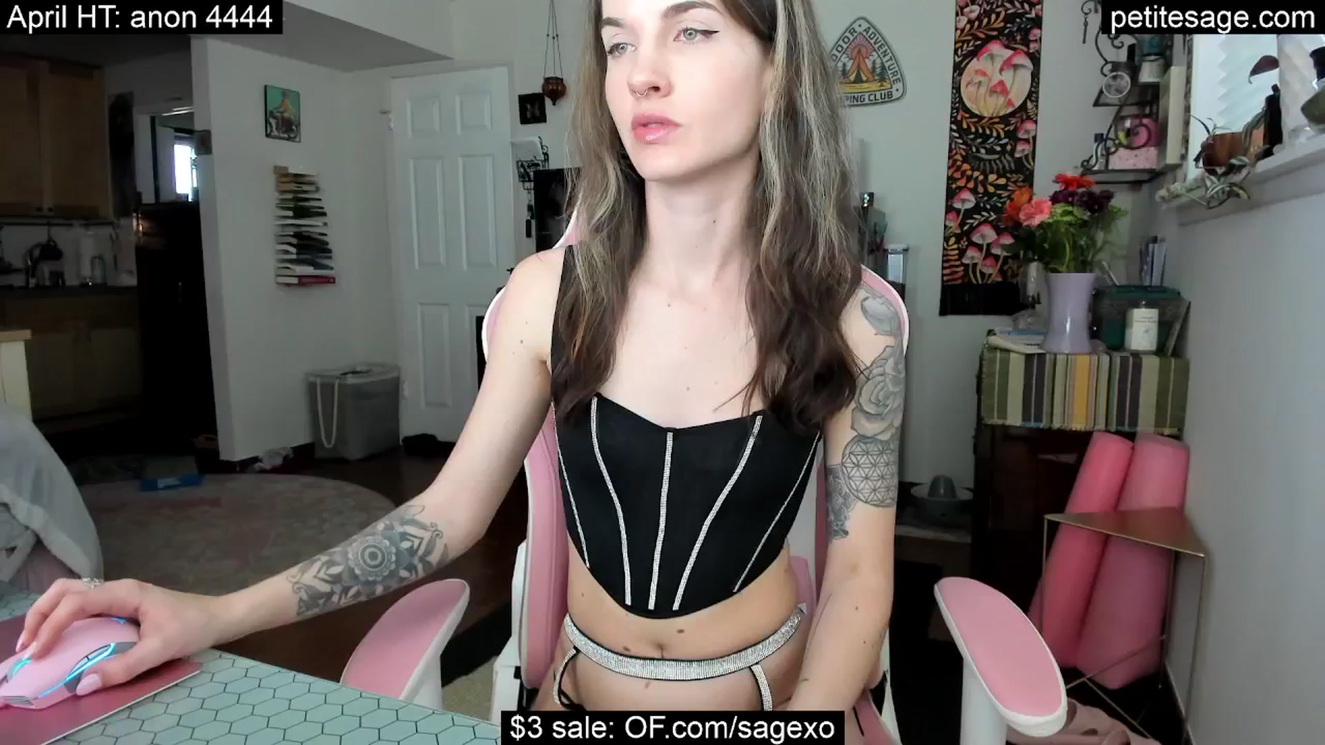 Gallery image thumbnail from PetiteSage's myfreecams stream on, 04/18/2025, 24:47 image 5 of 20