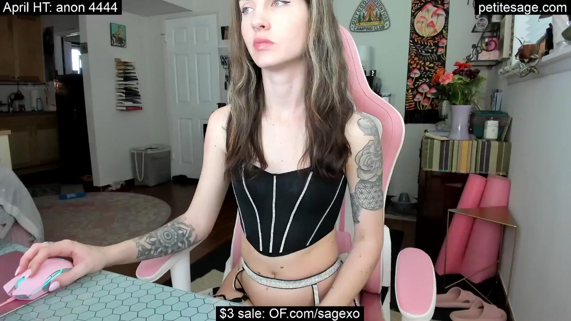 Gallery image thumbnail from PetiteSage's myfreecams stream on, 04/18/2025, 24:47 image 16 of 20