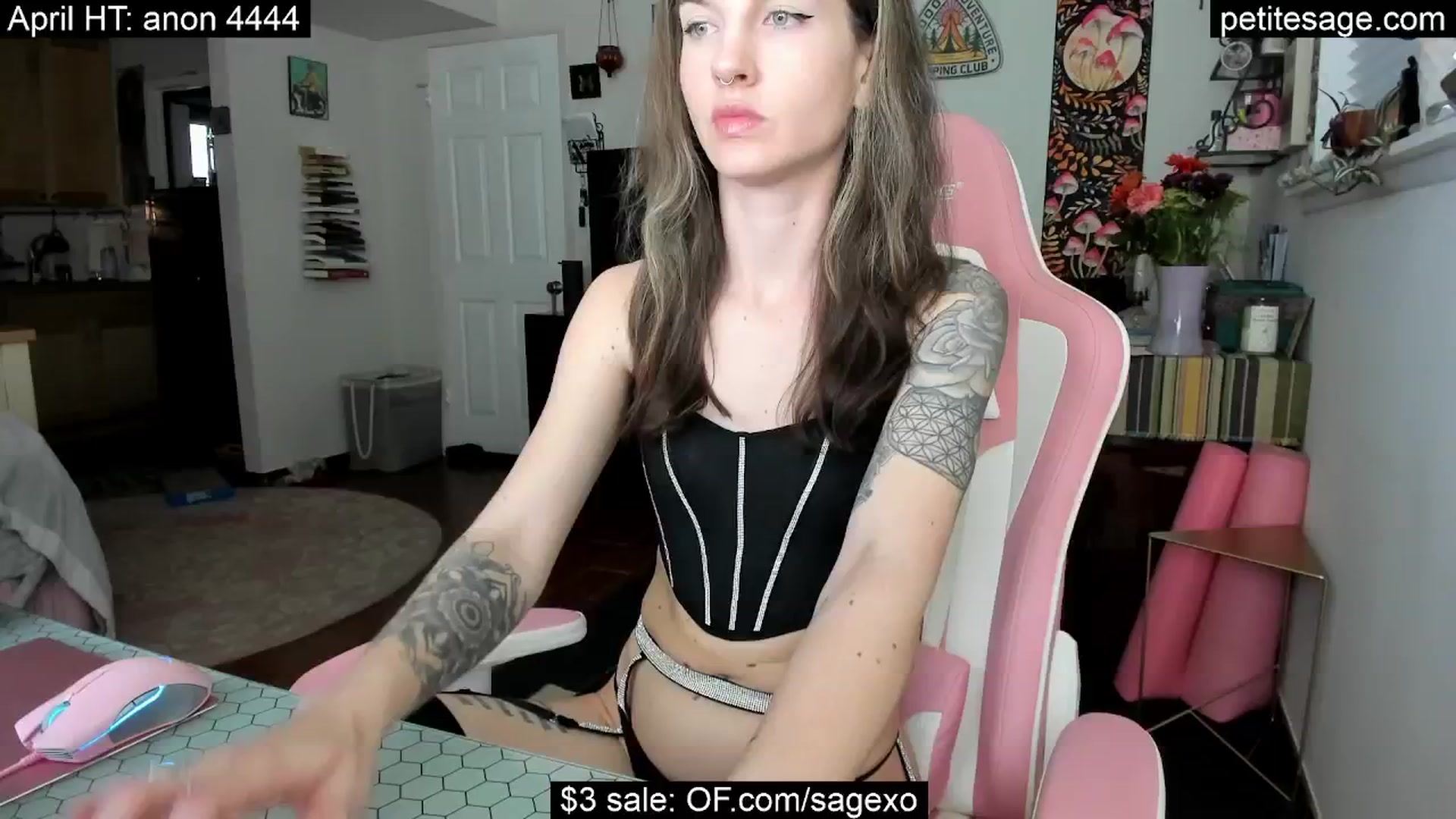Gallery image thumbnail from PetiteSage's myfreecams stream on, 04/18/2025, 02:50 image 5 of 20