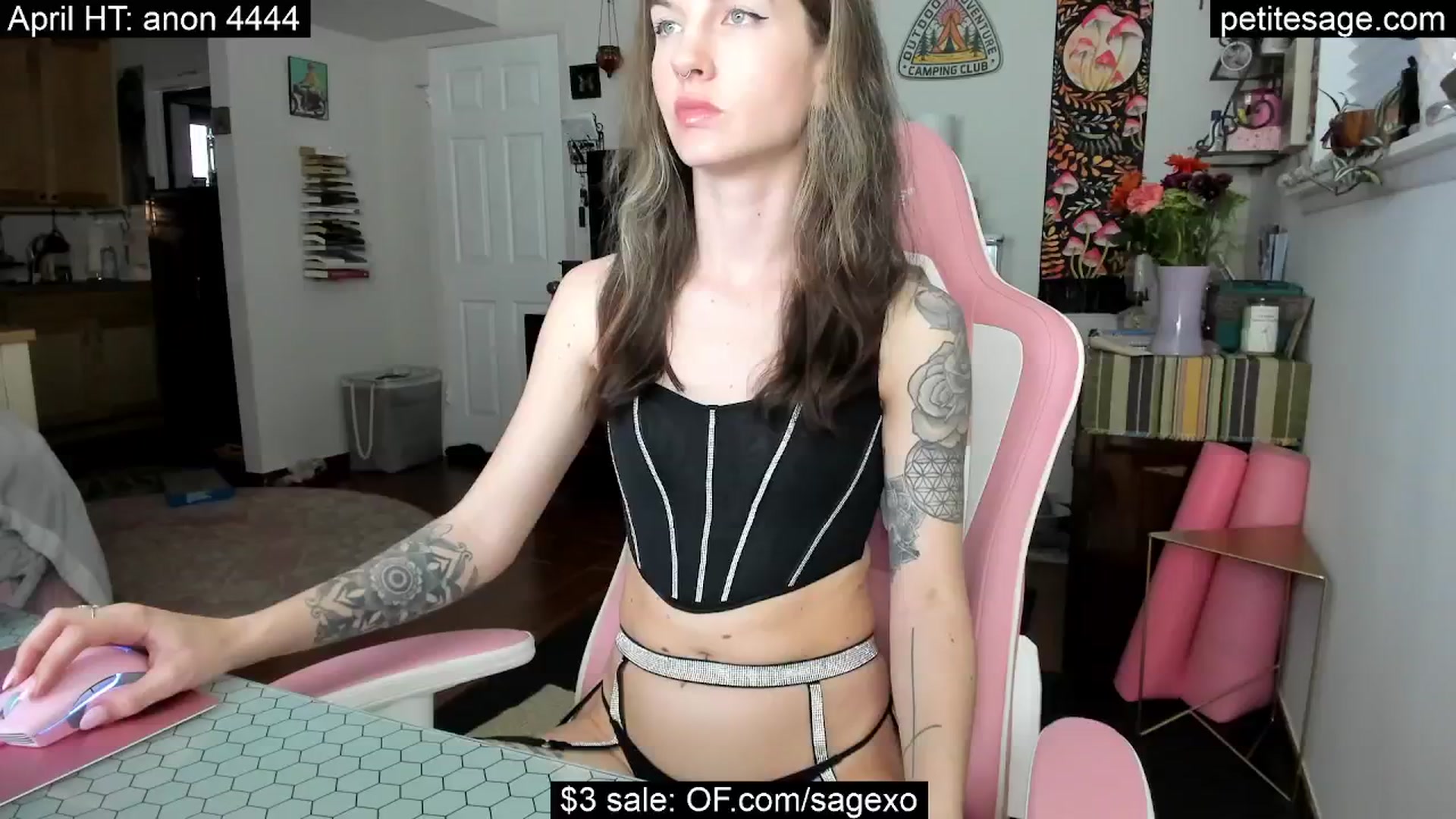 Gallery image thumbnail from PetiteSage's myfreecams stream on, 04/18/2025, 02:50 image 12 of 20