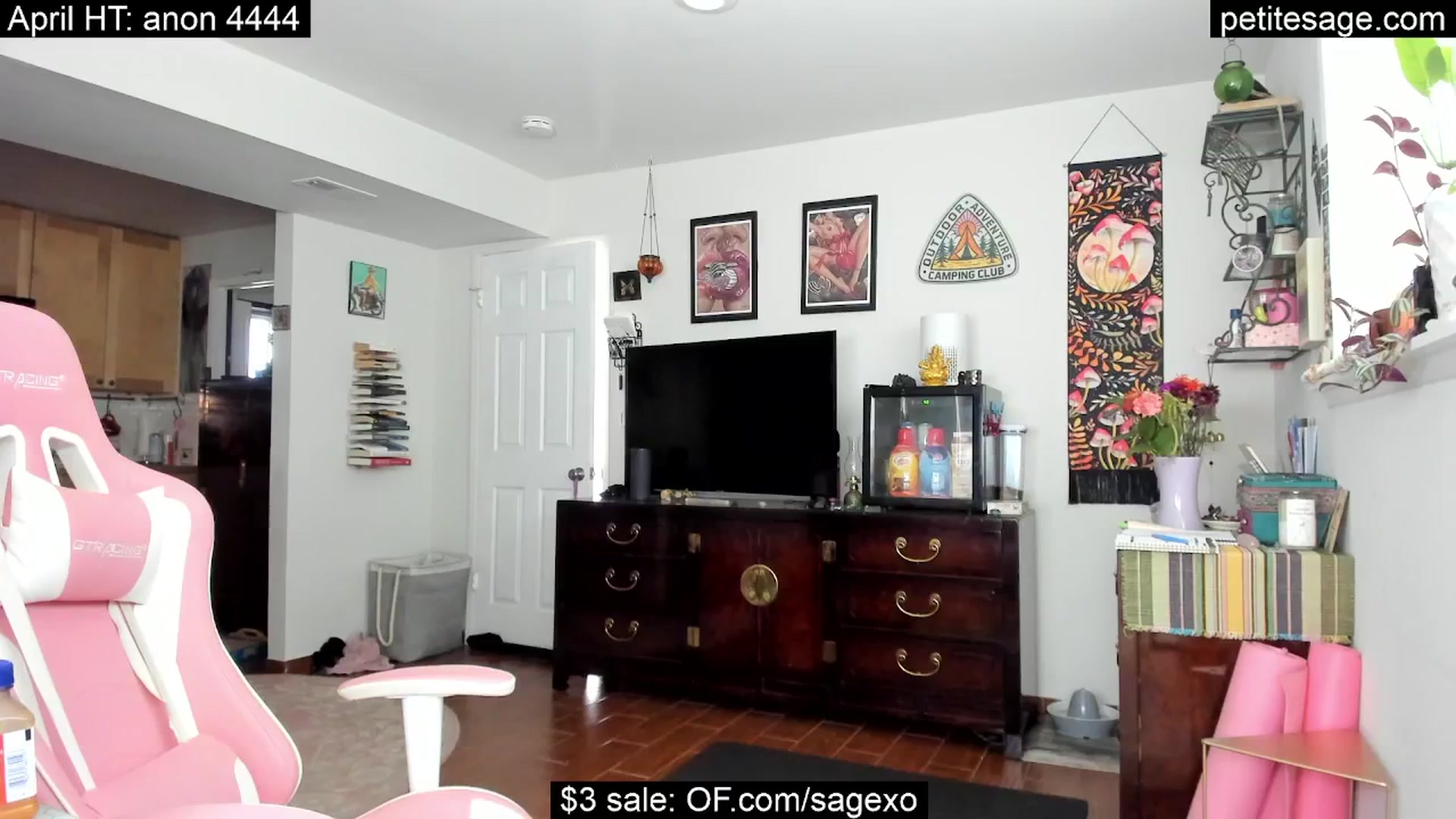 Gallery image thumbnail from PetiteSage's myfreecams stream on, 04/26/2025, 24:01 image 14 of 20