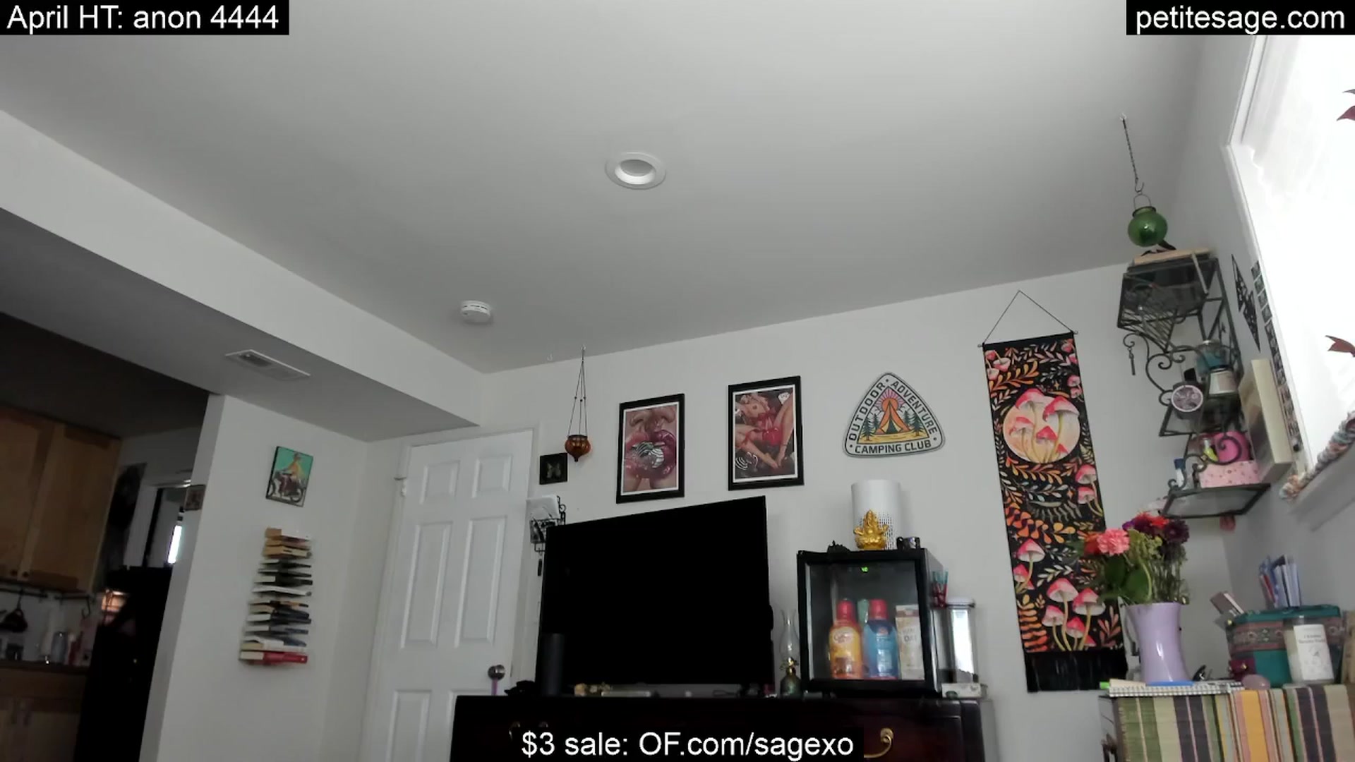 Gallery image thumbnail from PetiteSage's myfreecams stream on, 04/26/2025, 24:01 image 3 of 20