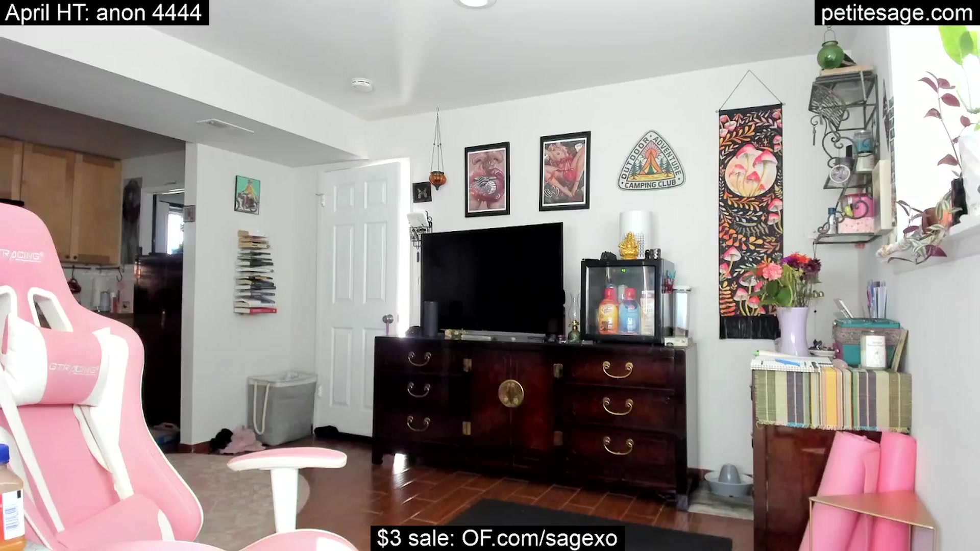 Gallery image thumbnail from PetiteSage's myfreecams stream on, 04/26/2025, 24:01 image 16 of 20
