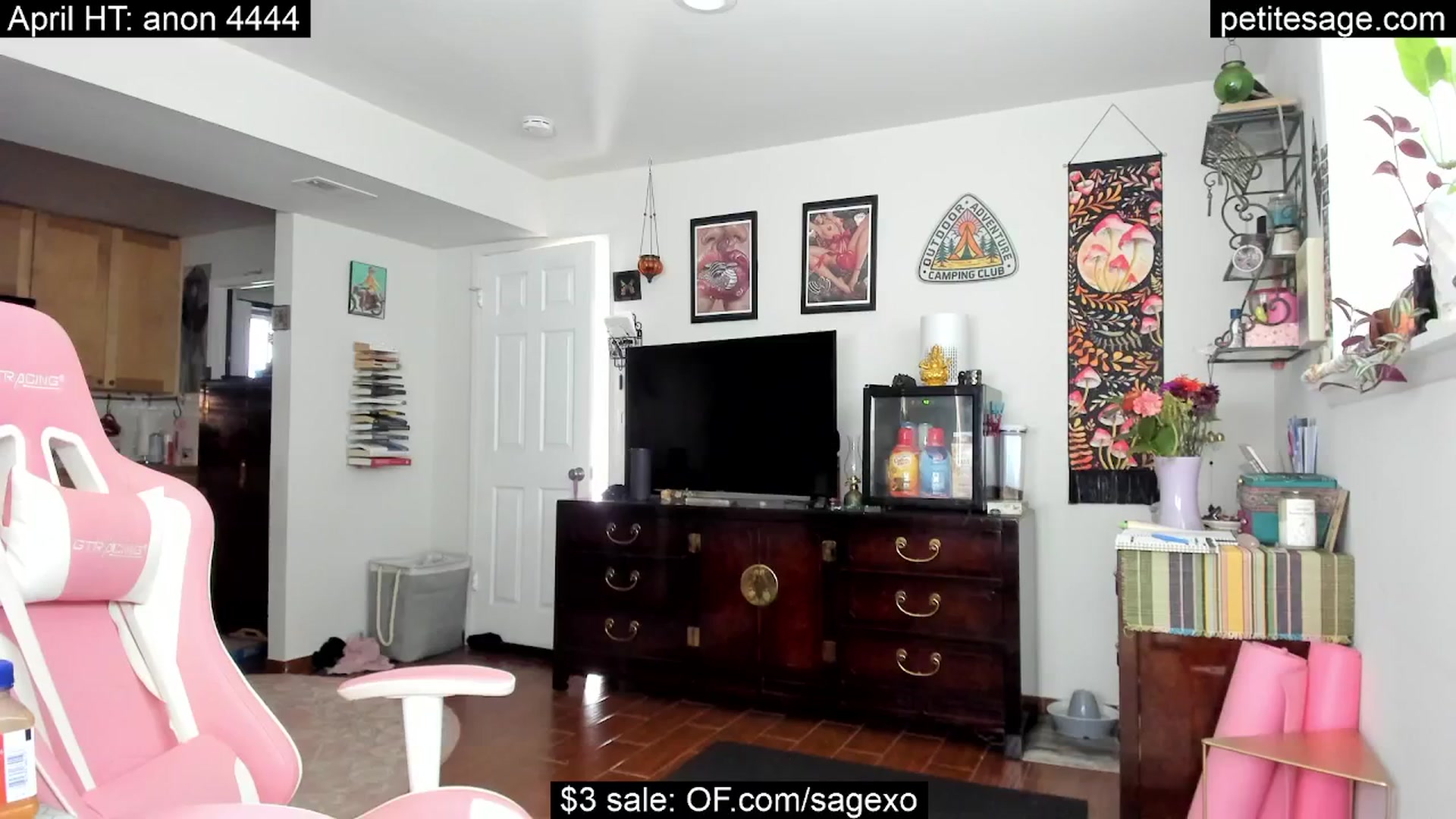 Gallery image thumbnail from PetiteSage's myfreecams stream on, 04/26/2025, 24:01 image 15 of 20