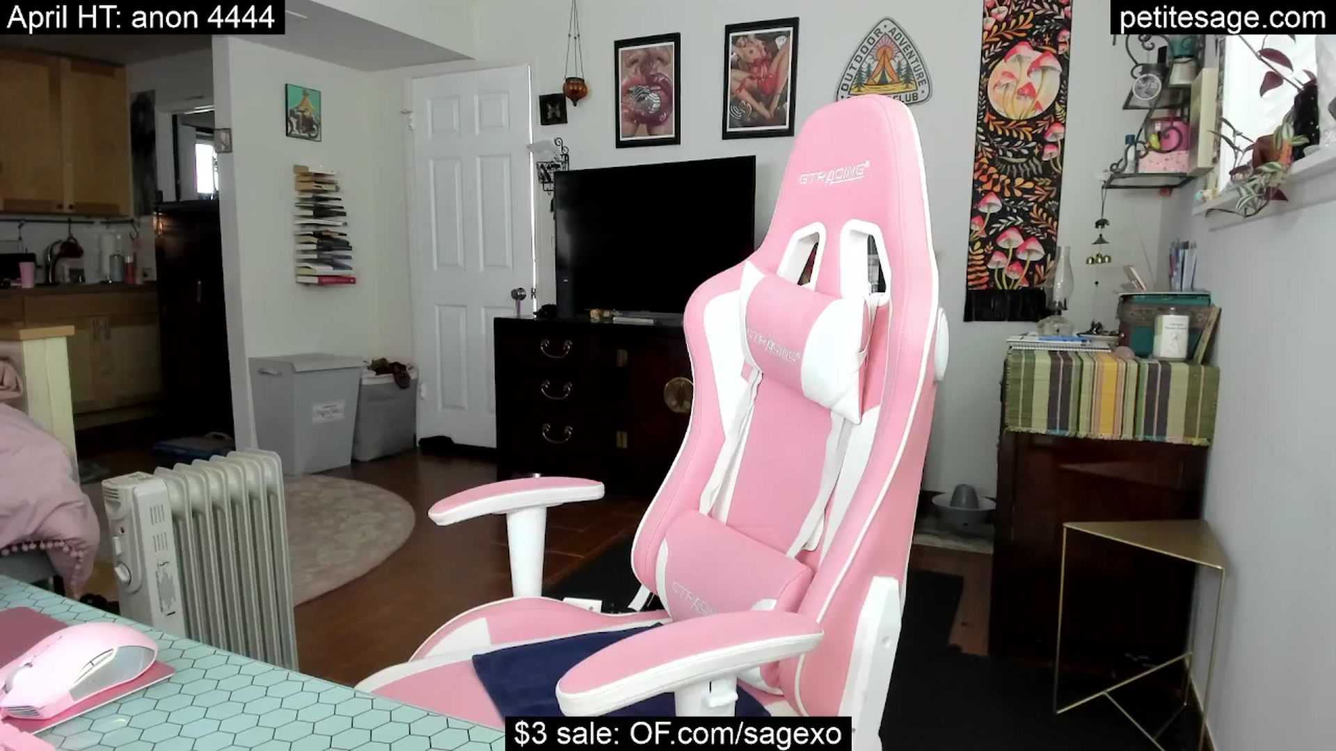 Gallery image thumbnail from PetiteSage's myfreecams stream on, 04/28/2025, 24:57 image 12 of 20