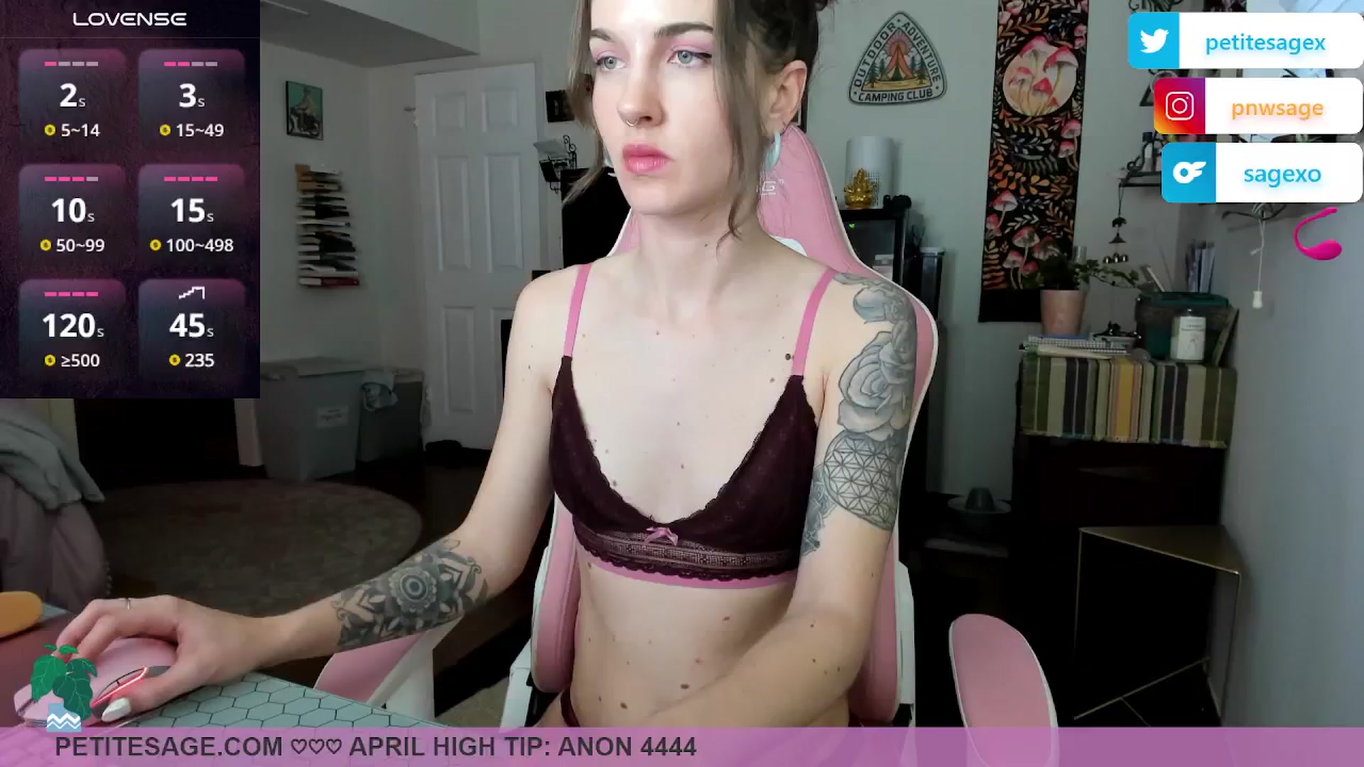 Gallery image thumbnail from PetiteSage's myfreecams stream on, 04/29/2025, 02:55 image 13 of 20