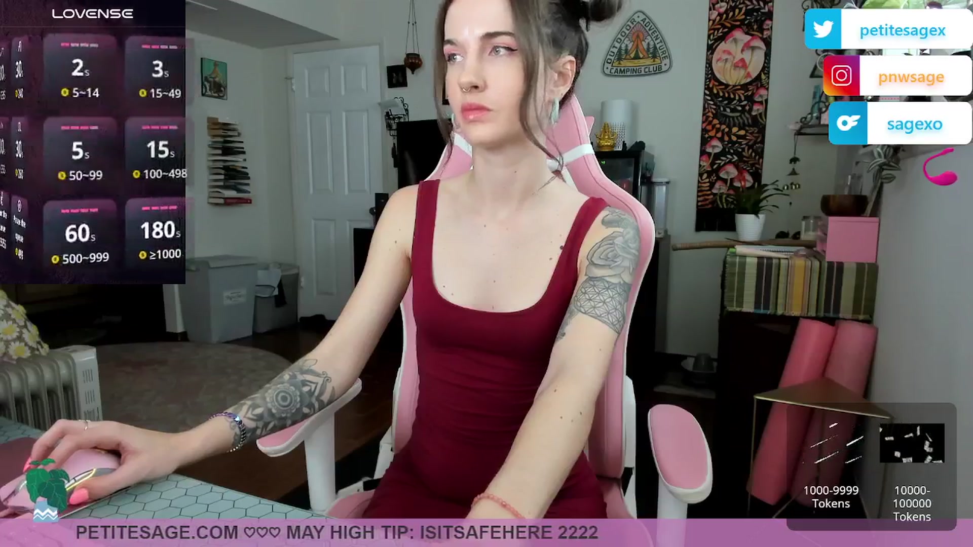Gallery image thumbnail from PetiteSage's myfreecams stream on, 05/19/2025, 23:46 image 17 of 20