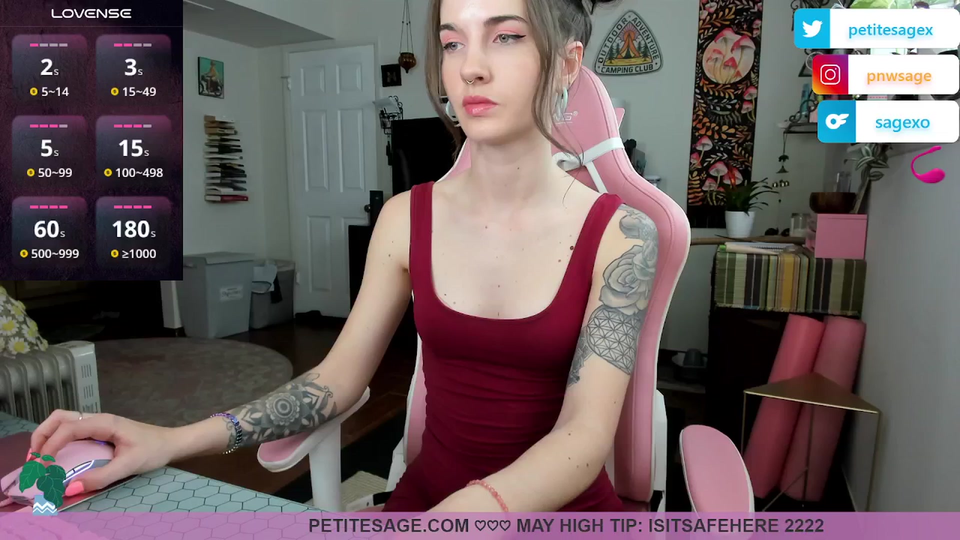 Gallery image thumbnail from PetiteSage's myfreecams stream on, 05/19/2025, 23:46 image 7 of 20