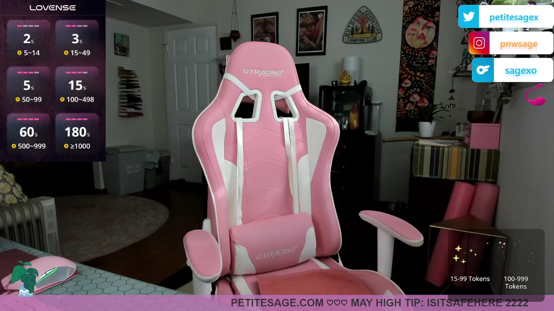 Gallery image thumbnail from PetiteSage's myfreecams stream on, 05/20/2025, 24:00 image 2 of 20