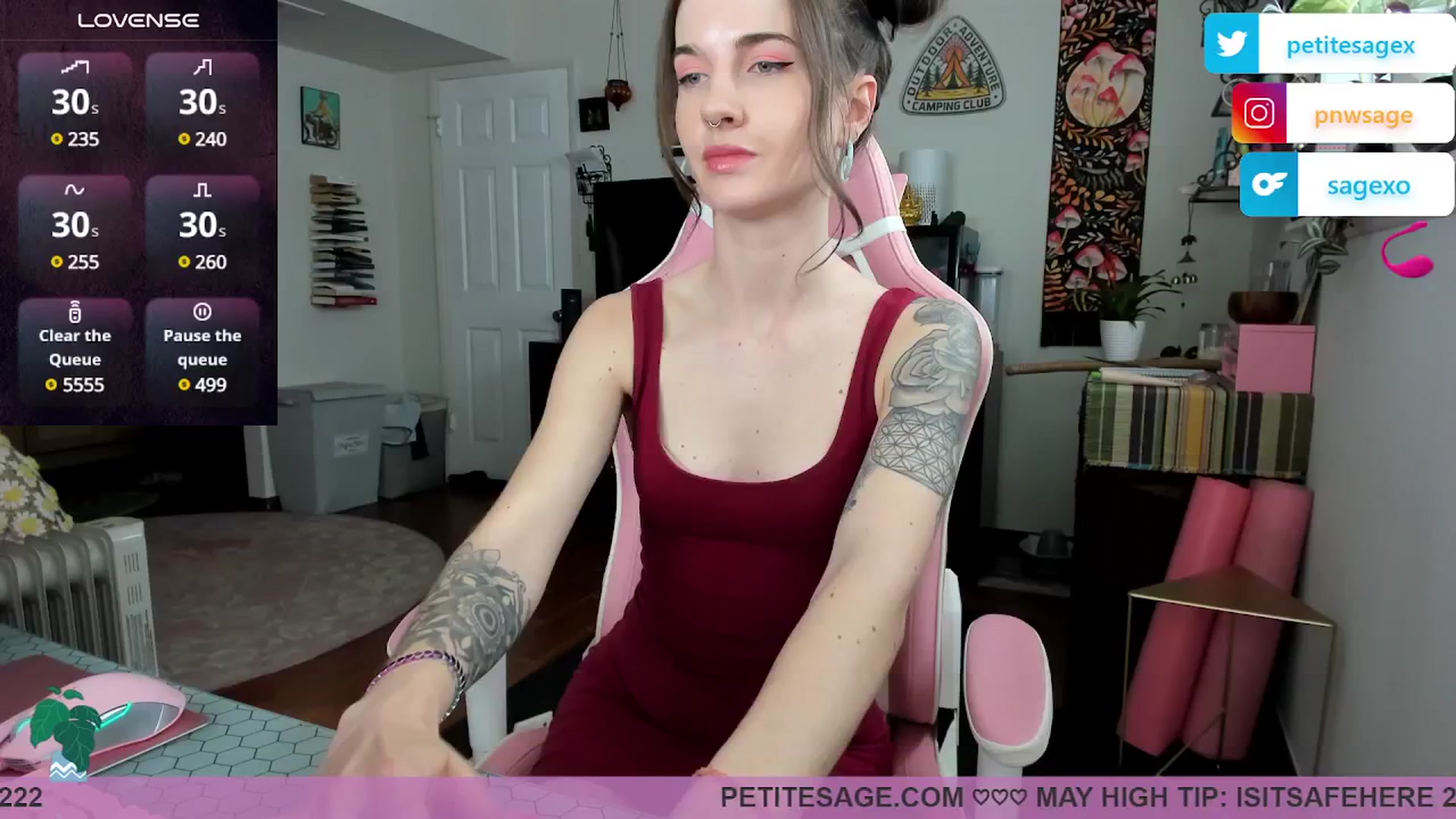 Gallery image thumbnail from PetiteSage's myfreecams stream on, 05/20/2025, 24:00 image 12 of 20