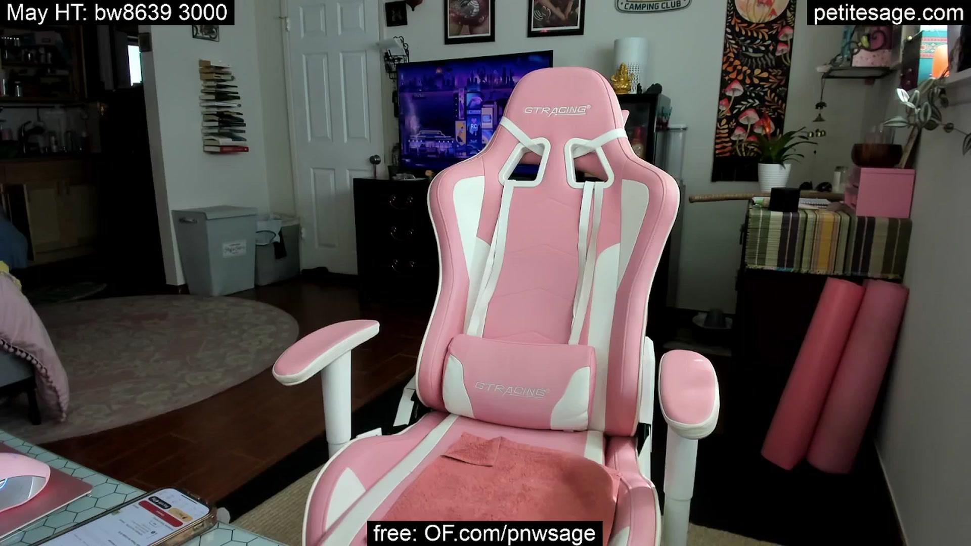 Gallery image thumbnail from PetiteSage's myfreecams stream on, 05/21/2025, 22:16 image 18 of 20