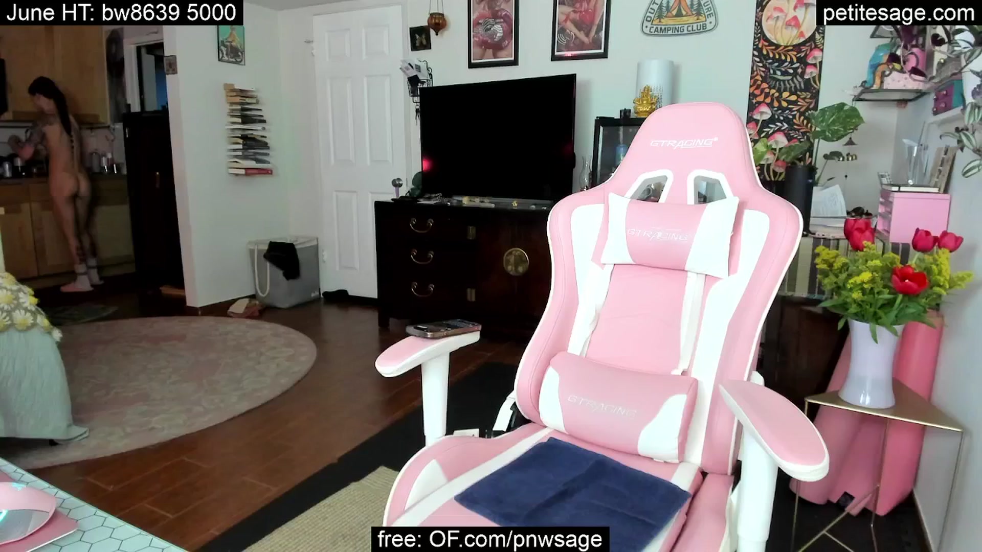 Gallery image thumbnail from PetiteSage's myfreecams stream on, 06/06/2025, 05:03 image 3 of 20