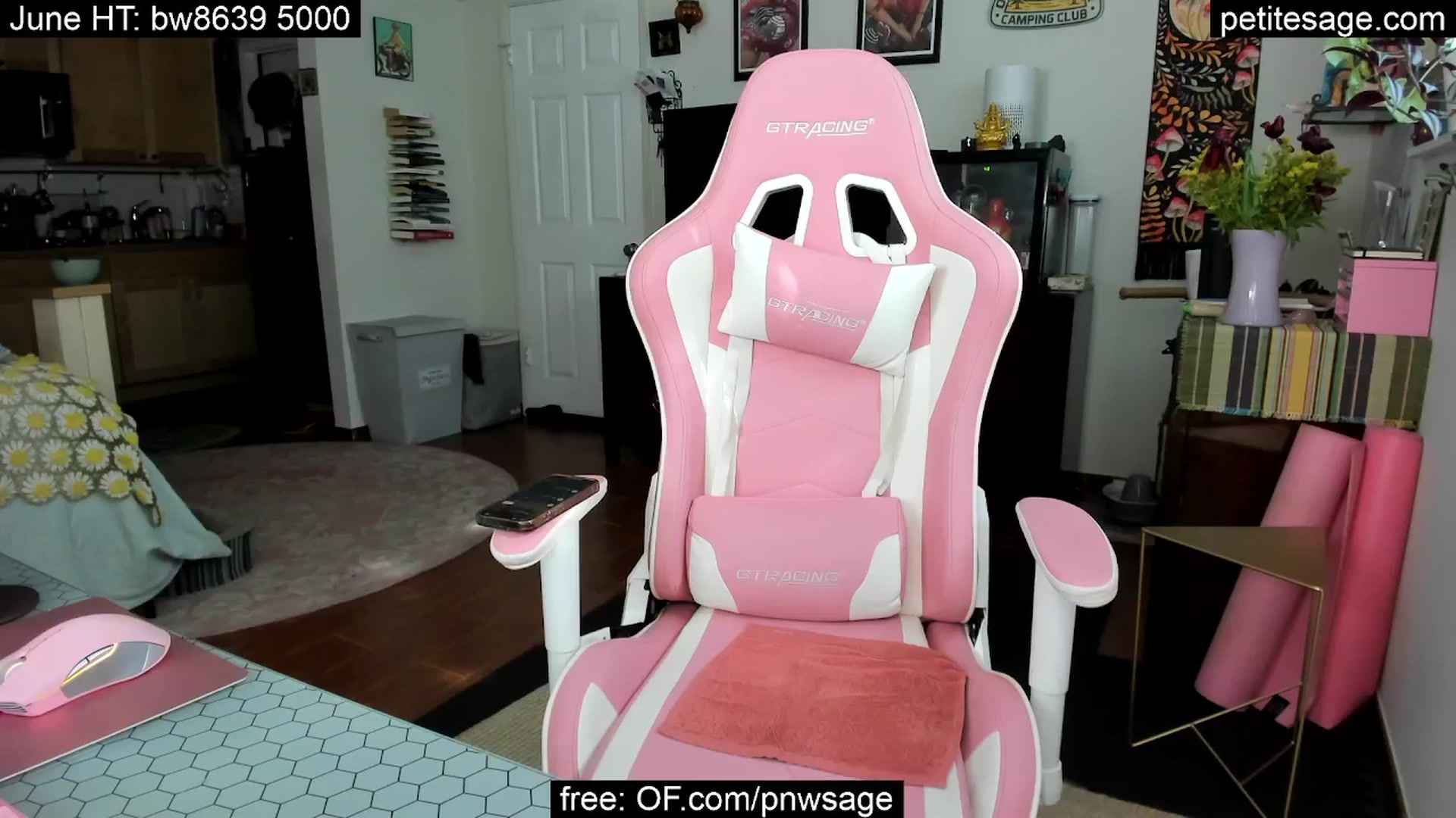 Gallery image thumbnail from PetiteSage's myfreecams stream on, 06/10/2025, 01:35 image 10 of 20