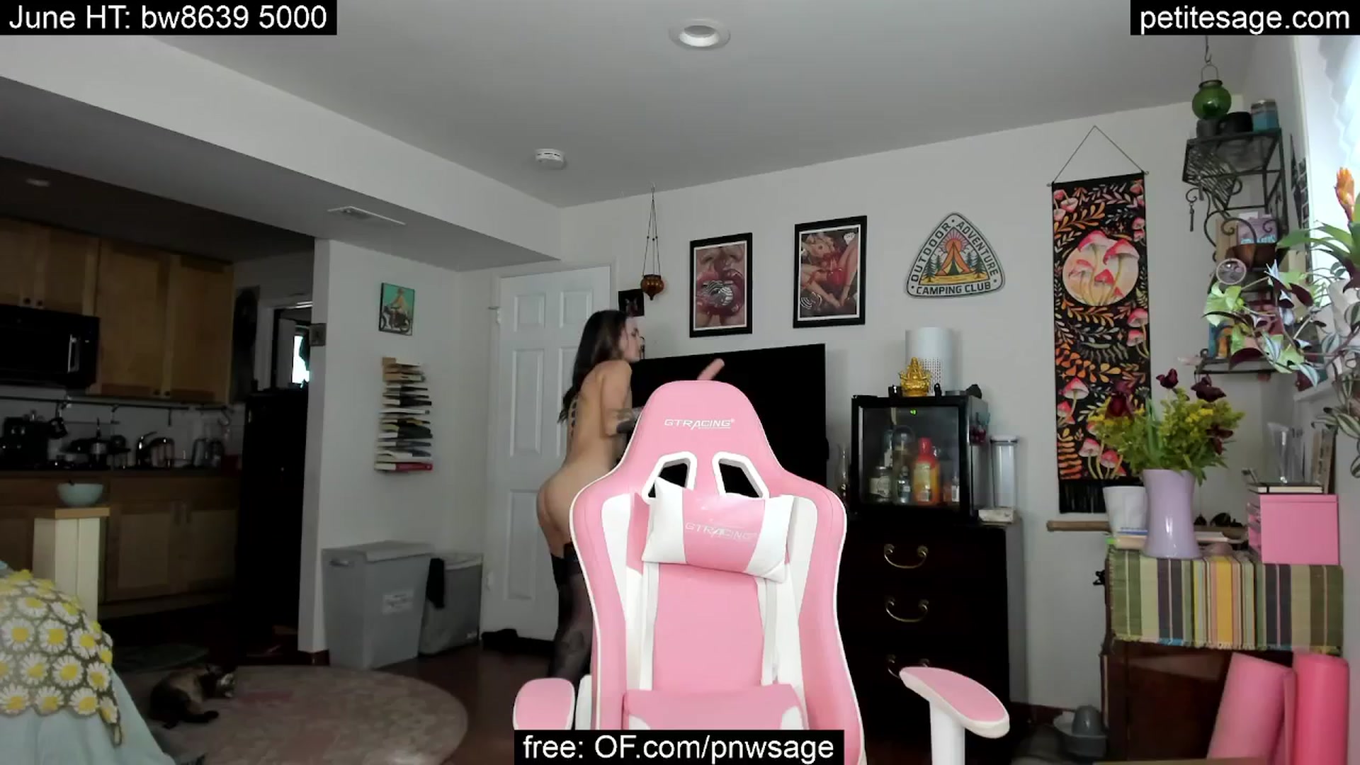 Gallery image thumbnail from PetiteSage's myfreecams stream on, 06/10/2025, 01:35 image 12 of 20