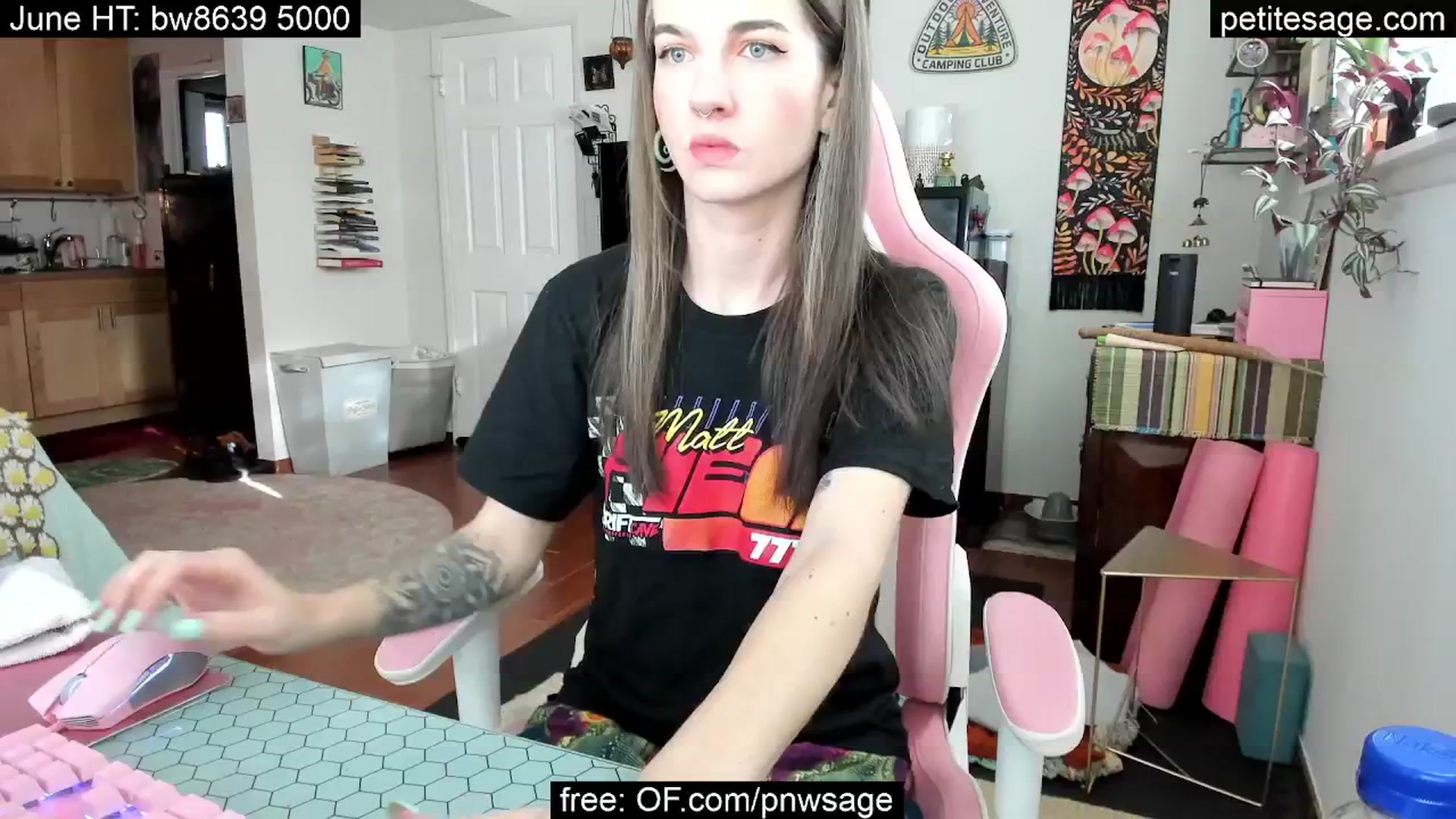 Gallery image thumbnail from PetiteSage's myfreecams stream on, 06/17/2025, 03:11 image 1 of 20