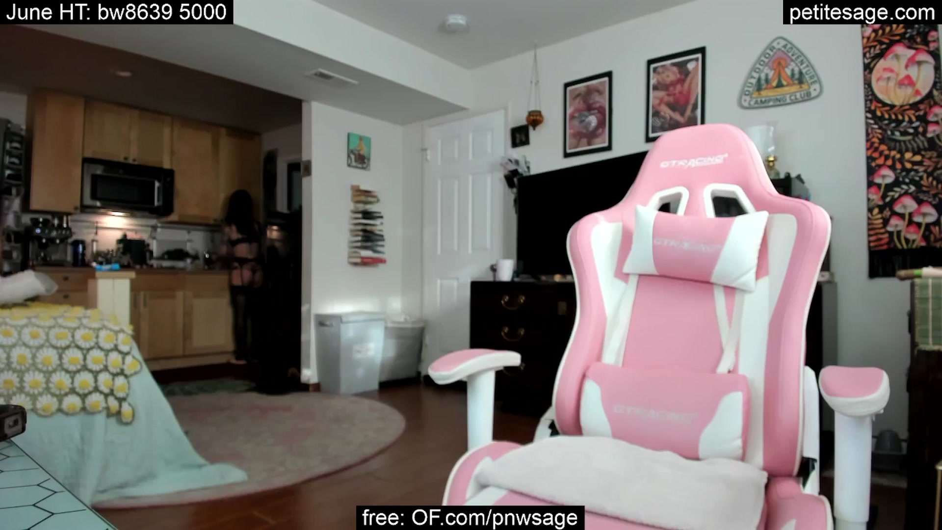 Gallery image thumbnail from PetiteSage's myfreecams stream on, 06/17/2025, 03:11 image 4 of 20