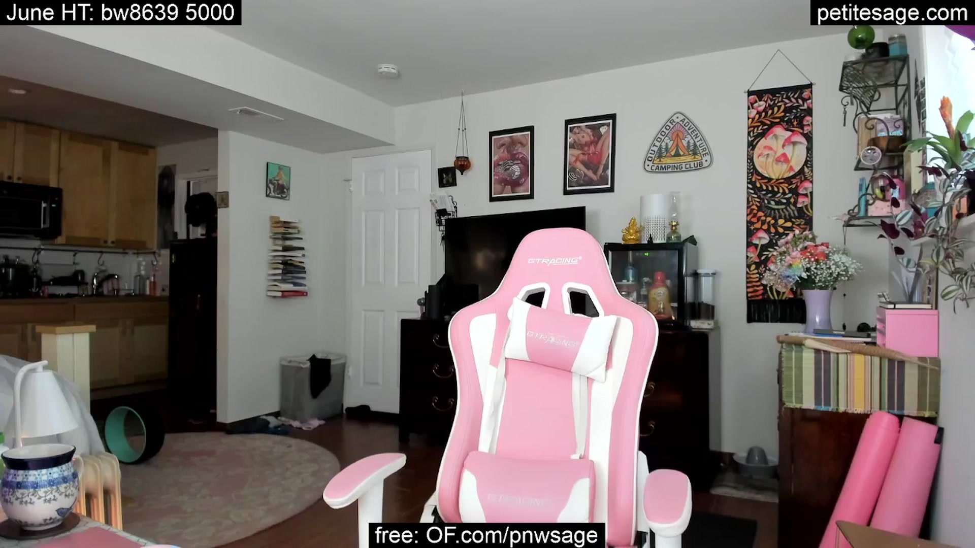 Gallery image thumbnail from PetiteSage's myfreecams stream on, 06/24/2025, 17:29 image 16 of 20