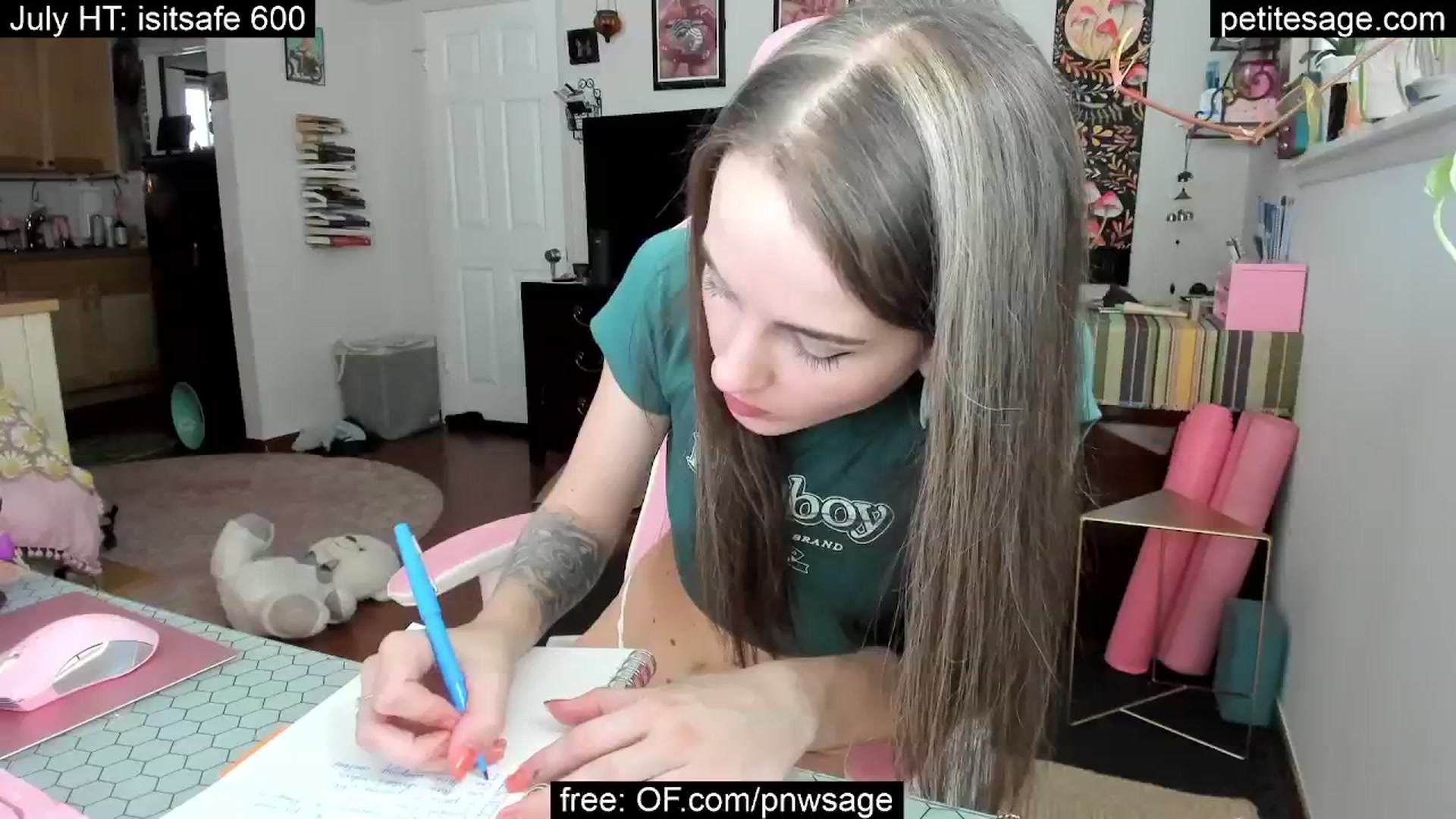 Gallery image thumbnail from PetiteSage's myfreecams stream on, 07/20/2025, 23:44 image 16 of 20